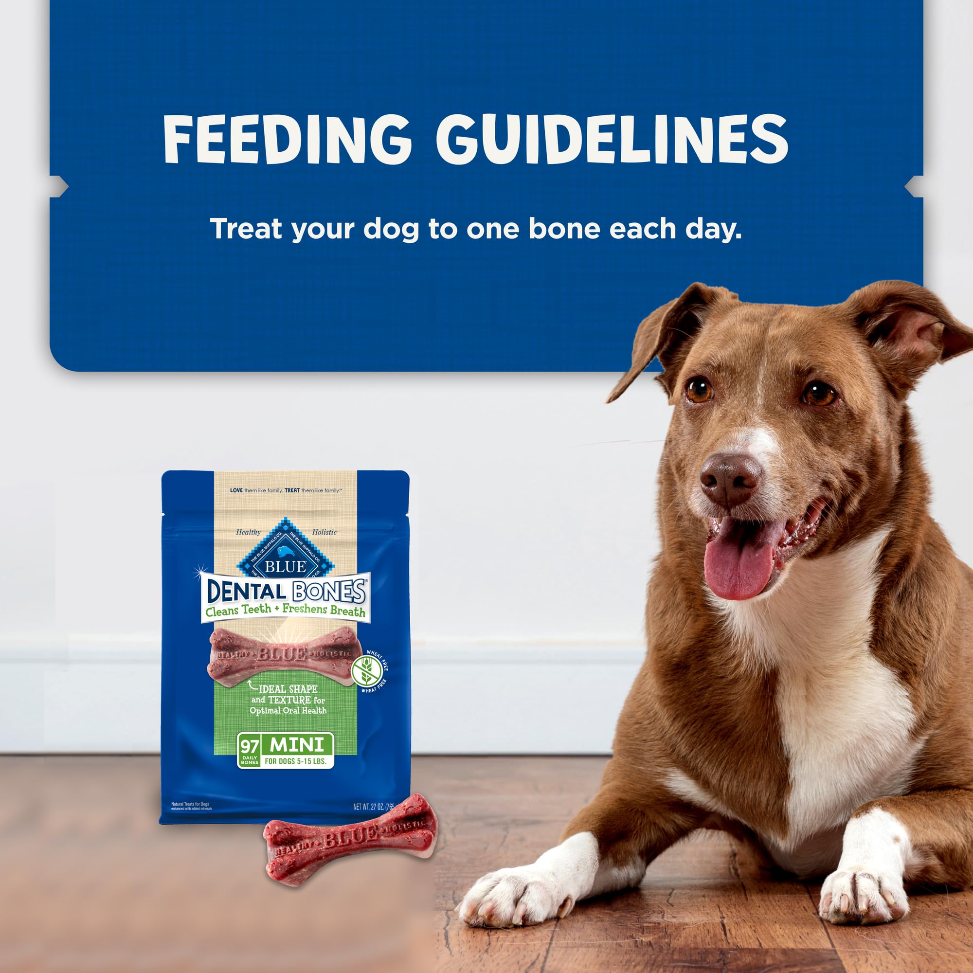 Blue Buffalo Dental Bones Mini value pack image emphasizes savings for small dogs