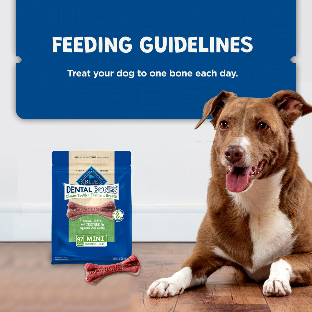 Blue Buffalo Dental Bones Mini value pack image emphasizes savings for small dogs