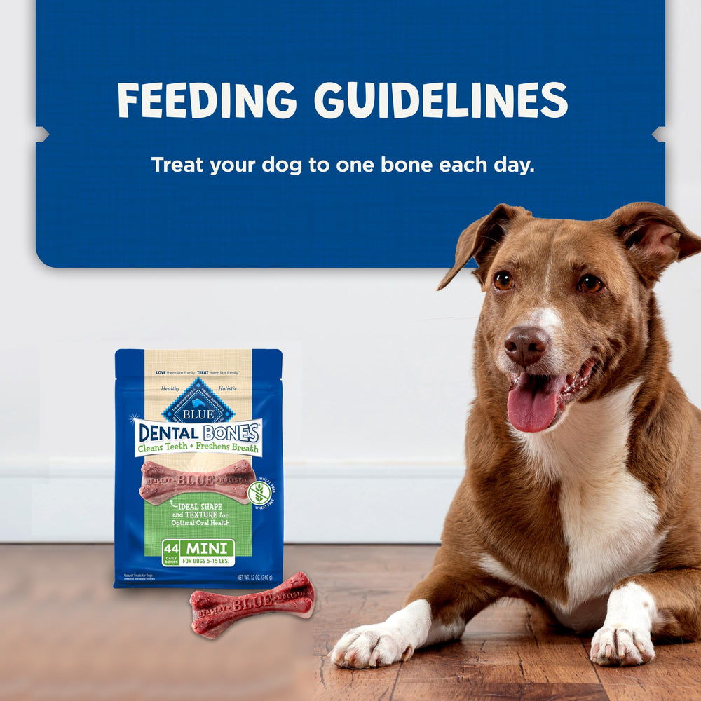 Blue Buffalo Dental Bones packaging front illustrates product benefits and branding.