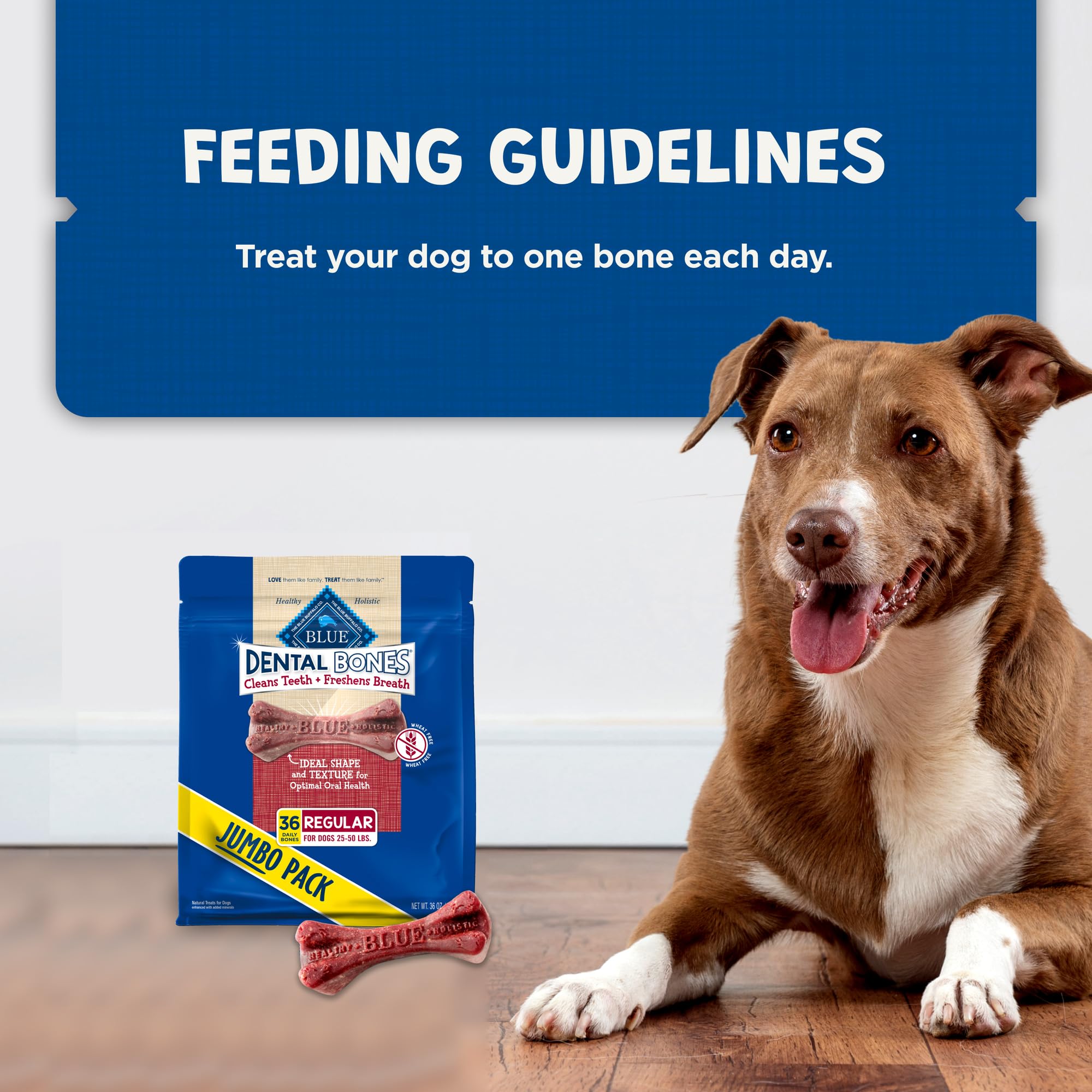 Blue Buffalo Dental Bones value pack beside a dog bowl for daily use