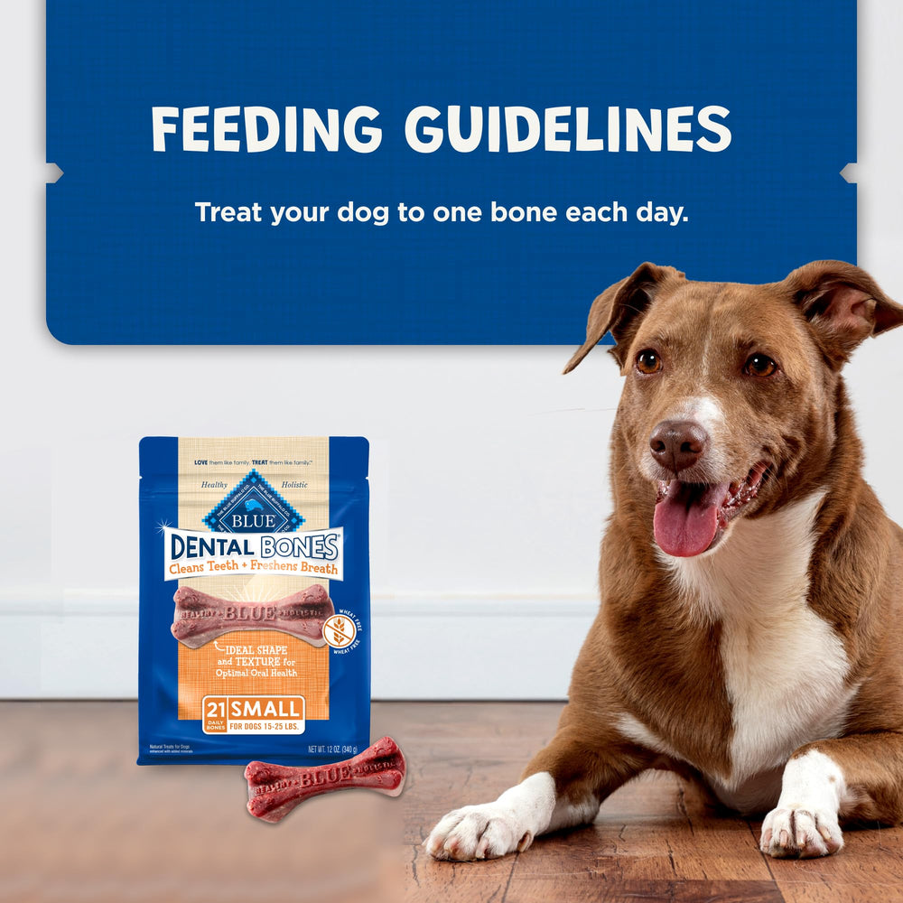 Blue Buffalo Dental Bones small taste and texture closeup appealing to dogs.