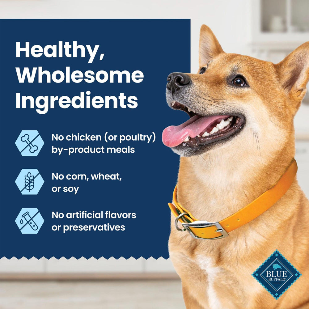 Blue Buffalo Dental Chews Large packaging beside a calm dog ready to chew.