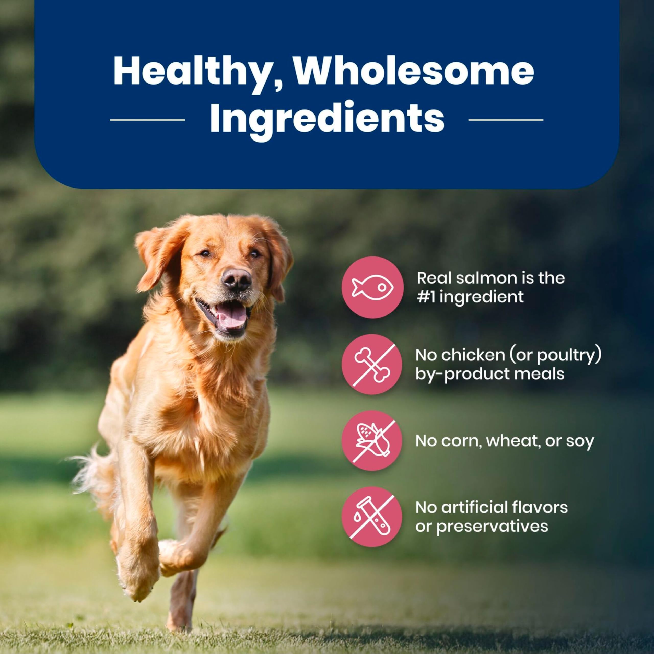 Enhanced digital packaging from Blue Buffalo highlights ingredients and benefits.
