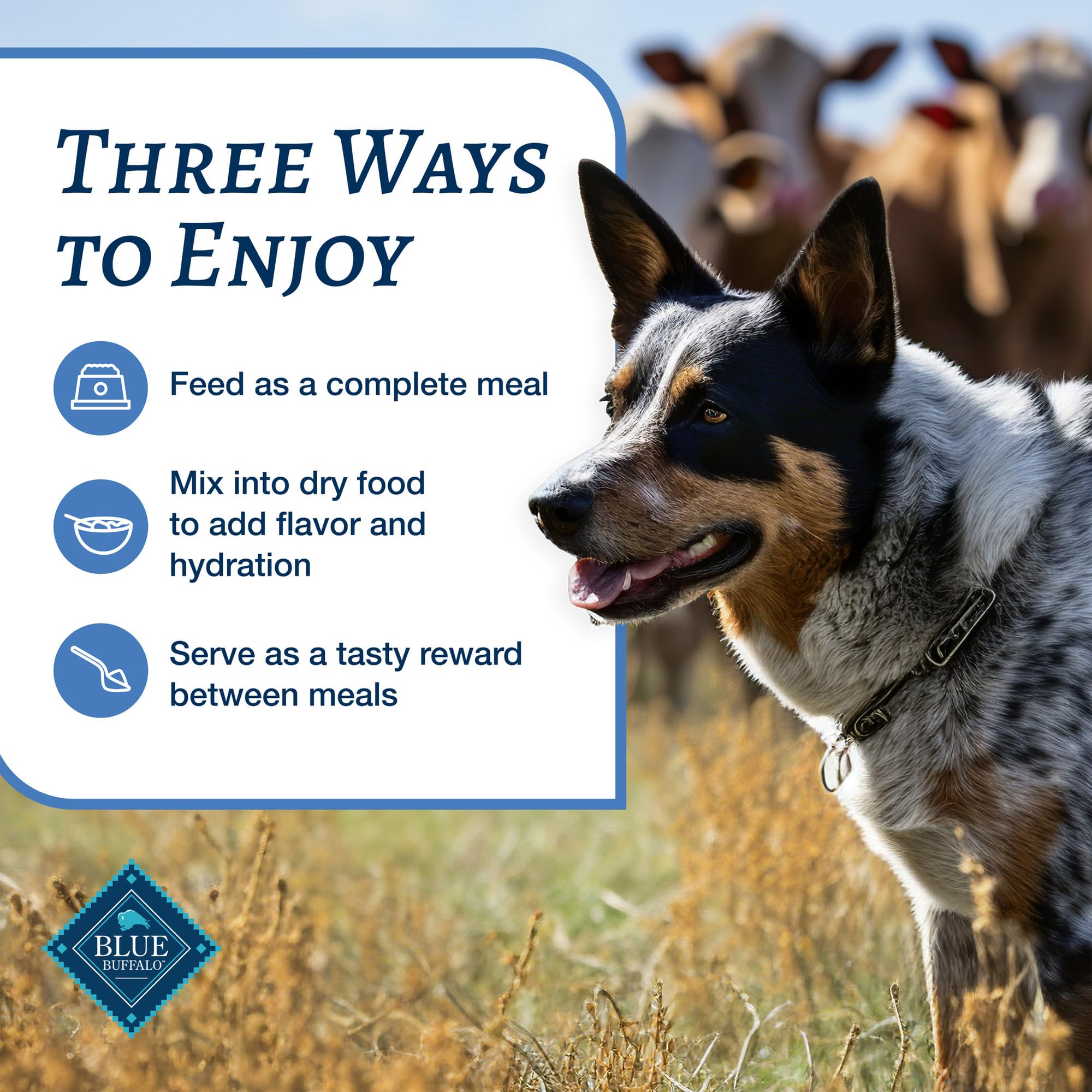 Blue Buffalo dogs eating wet food demonstrates a complete, balanced meal.