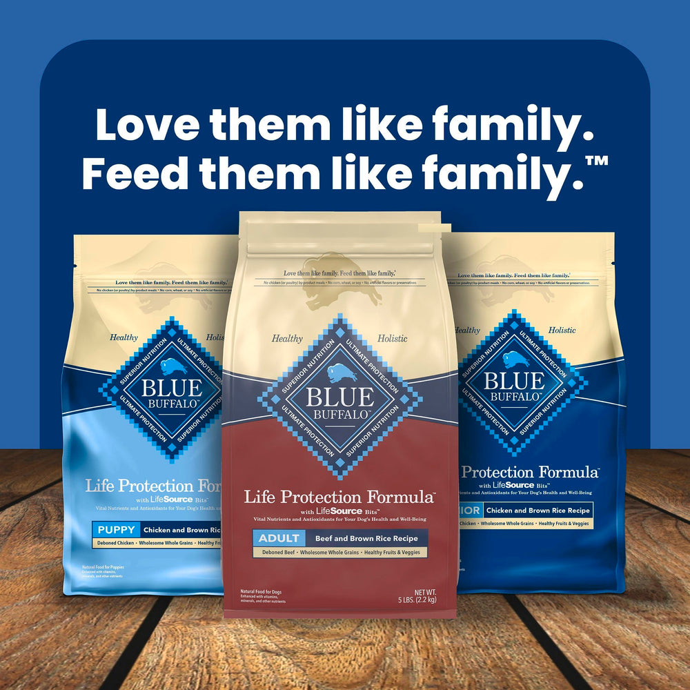 Complete adult dog nutrition for everyday meals and activity.
