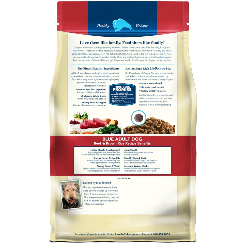 Blue Buffalo dry dog food in a bowl for daily nutrition.