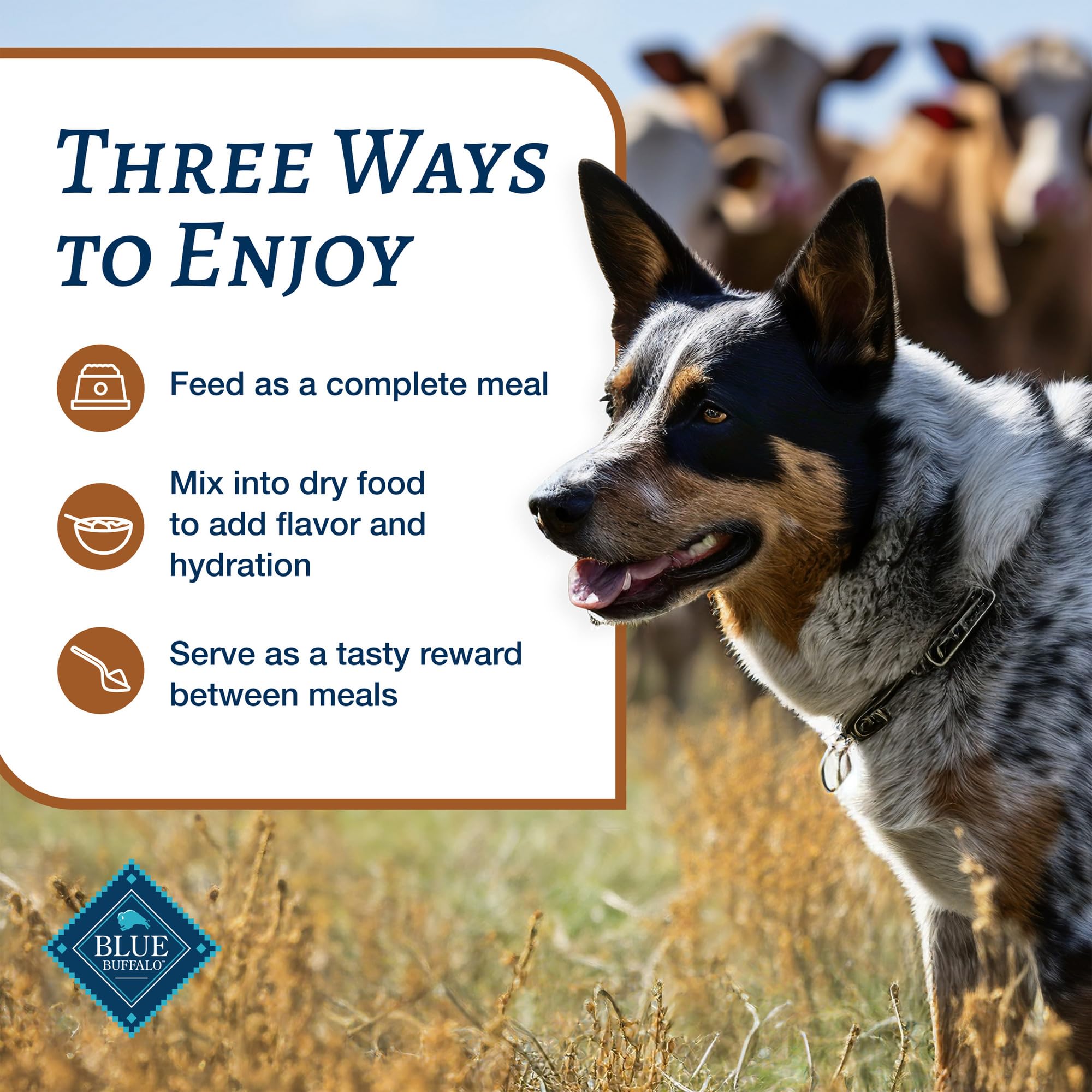 Blue Buffalo Family Favorites Turkey Day Feast packaging image highlights natural ingredients.