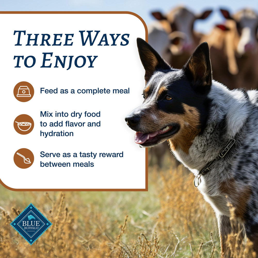Blue Buffalo Family Favorites Turkey Day Feast packaging image highlights natural ingredients.