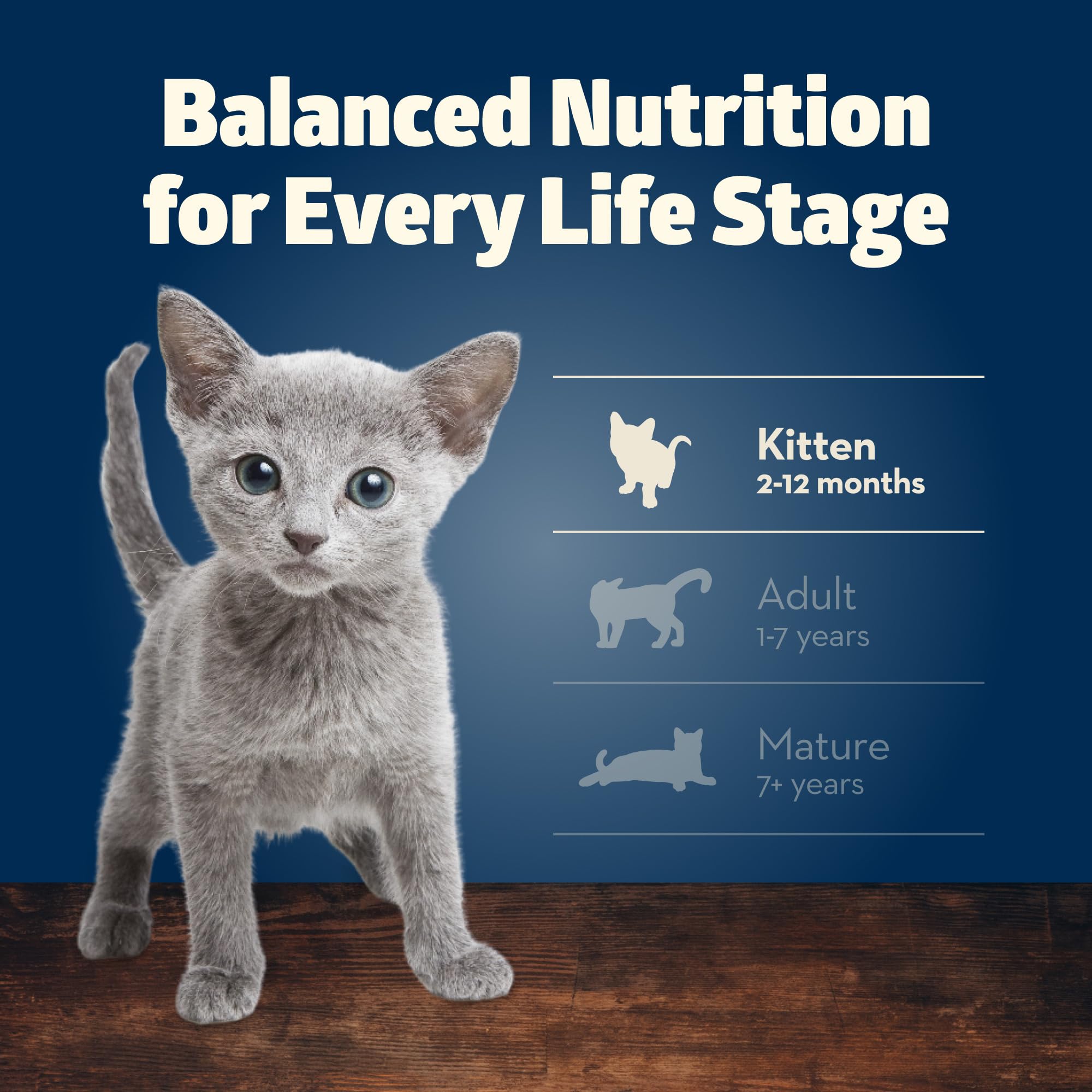 Blue Buffalo Freedom 24-can pack for convenient kitten meals