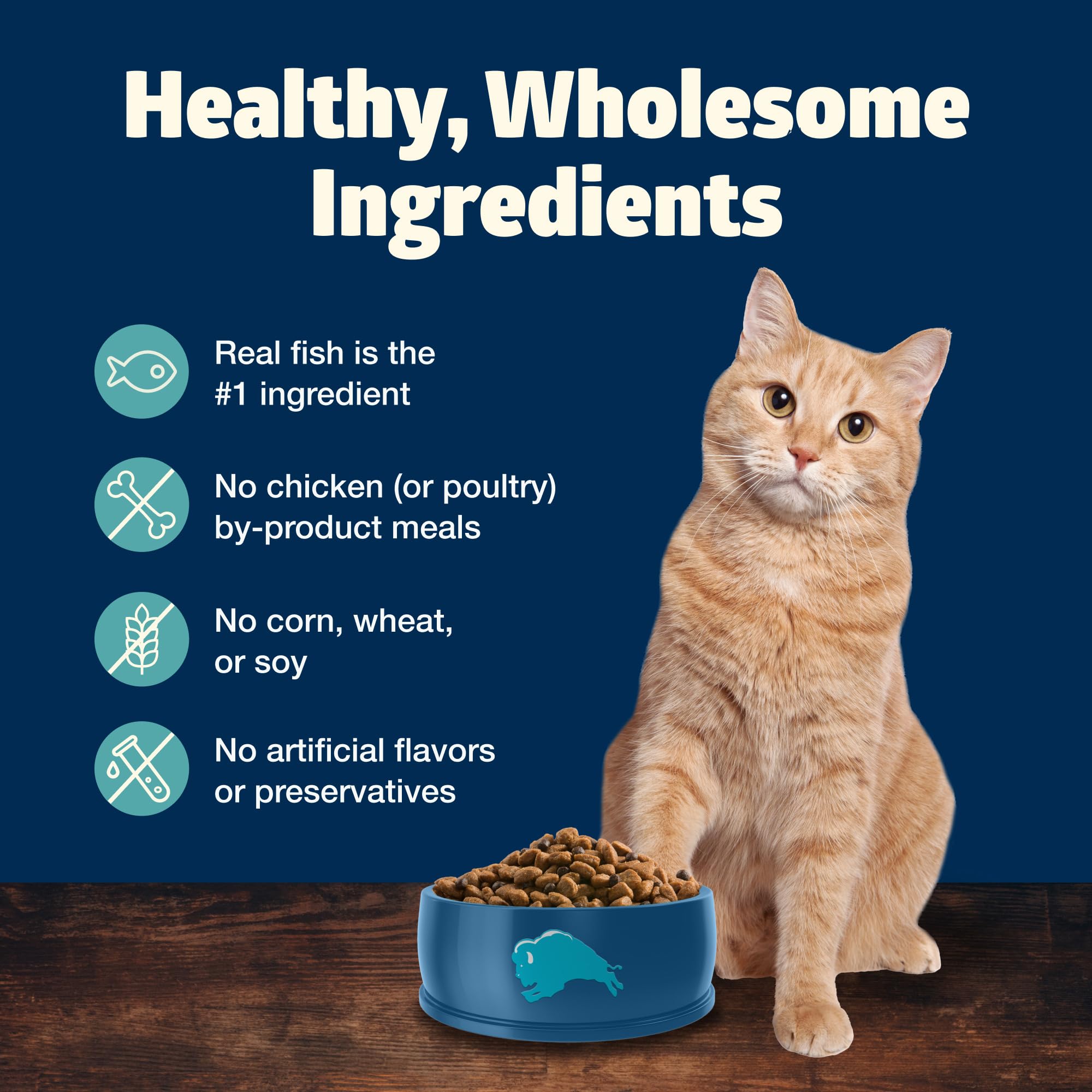 Blue Buffalo Freedom 5-lb bag, practical indoor cat option.