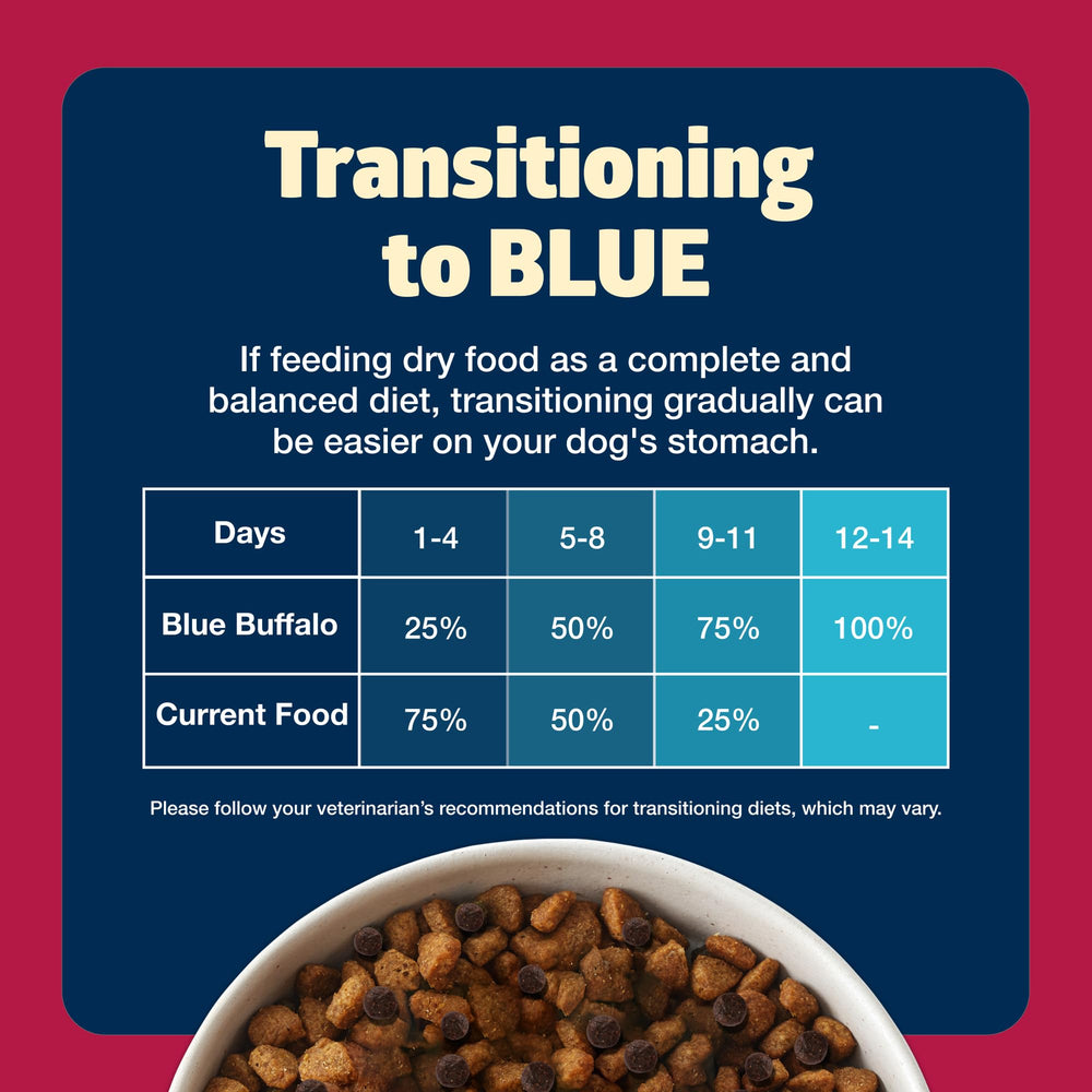 Blue Buffalo Freedom adult dog meal ready for serving.