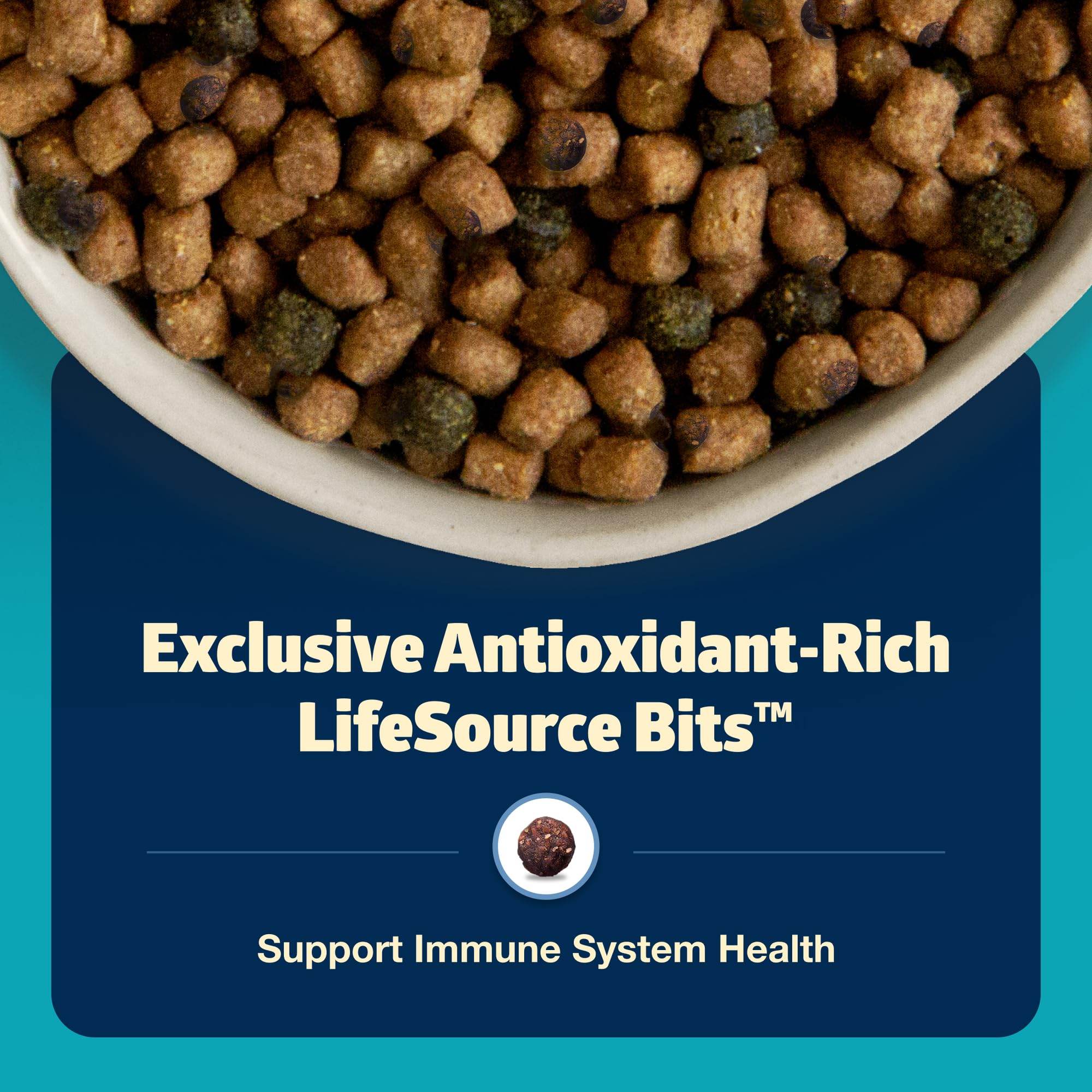 Blue Buffalo Freedom grain-free recipe offers wholesome meals for indoor cats.