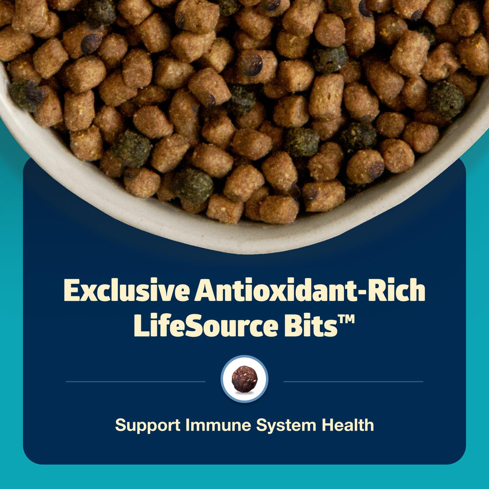 Blue Buffalo Freedom grain-free recipe offers wholesome meals for indoor cats.