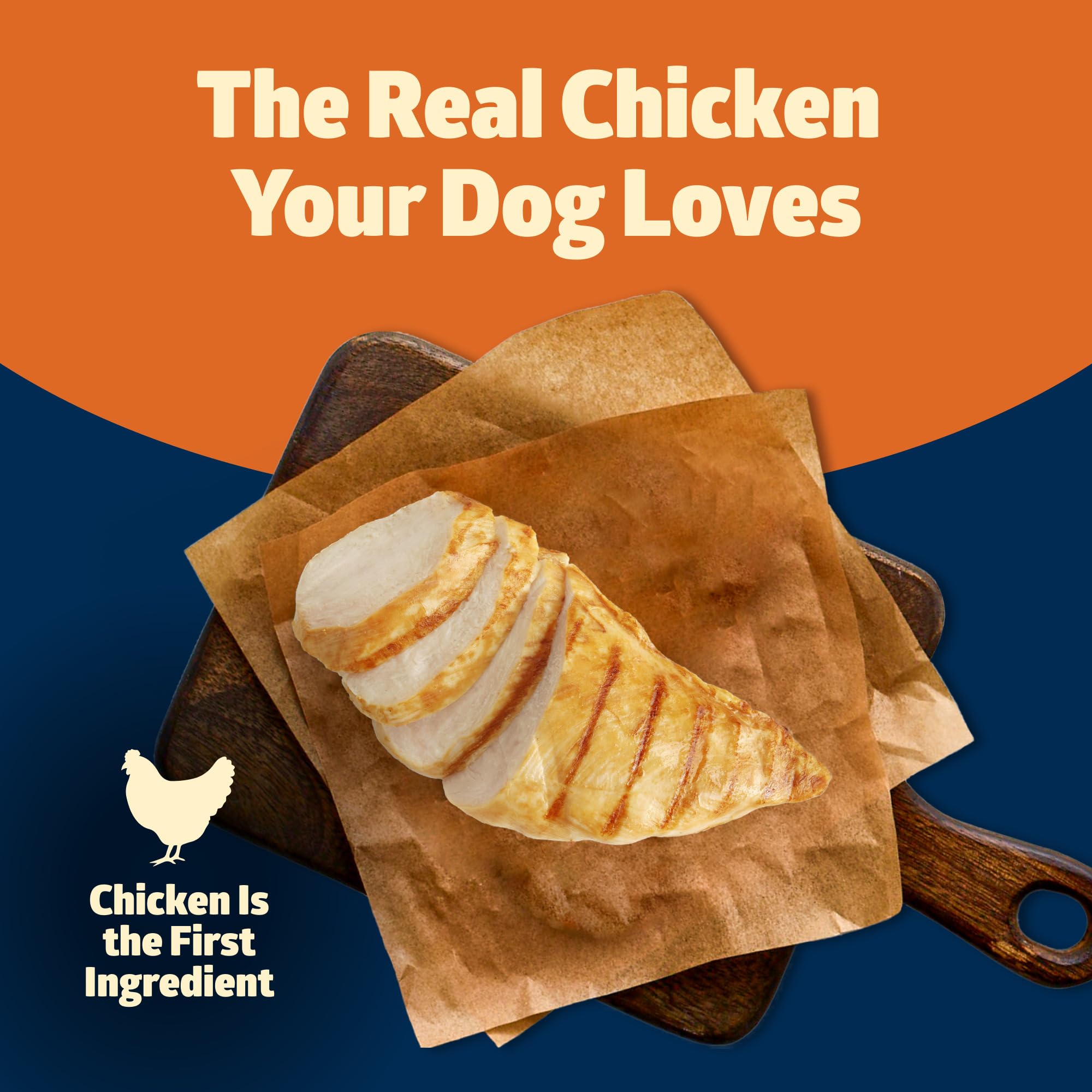 Blue Buffalo Freedom dog enjoying meal to illustrate palatability