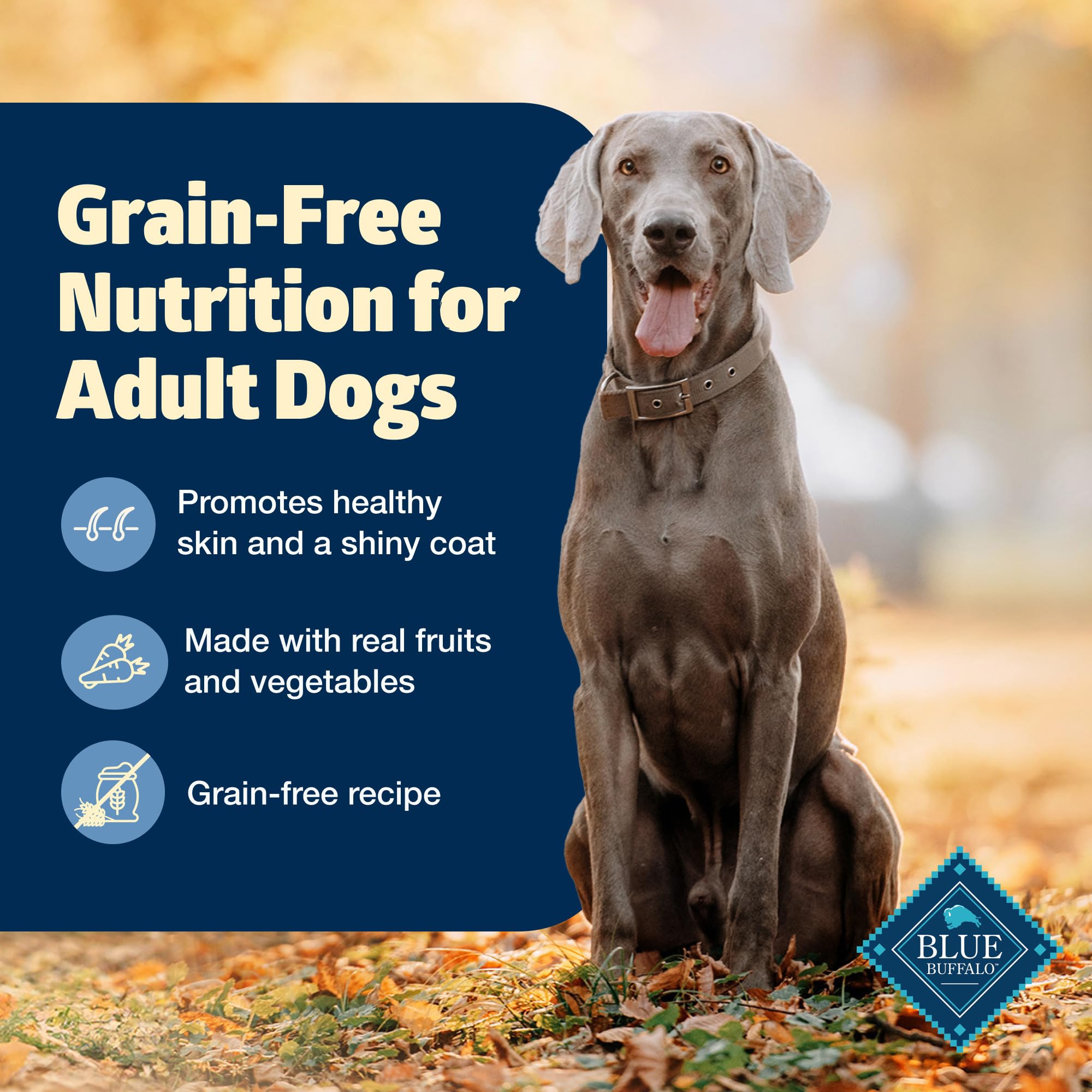 Blue Buffalo Freedom grain-free dry dog food in bowl suggesting coat health