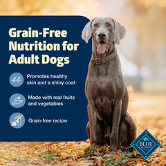 Blue Buffalo Freedom grain-free dry dog food in bowl suggesting coat health