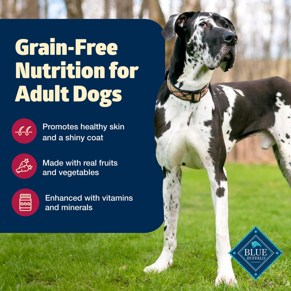 Close-up of Blue Buffalo Freedom Grain-Free kibble emphasizing beef flavor.
