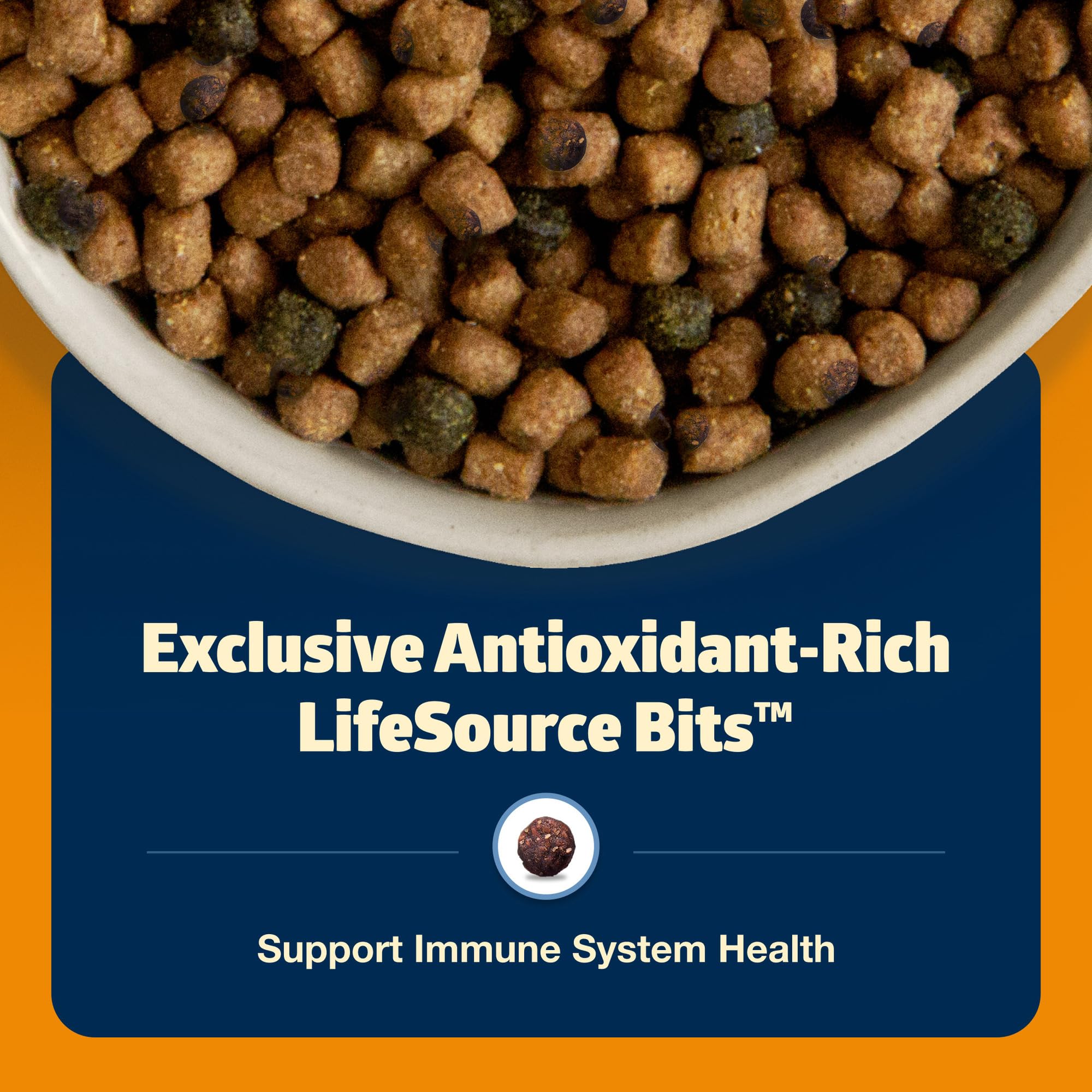 Blue Buffalo Freedom indoor cat nutrition concept image showing balanced diet for indoor cats.