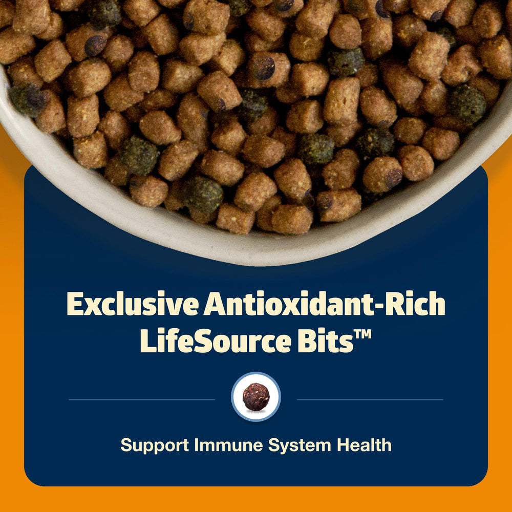 Blue Buffalo Freedom indoor cat nutrition concept image showing balanced diet for indoor cats.