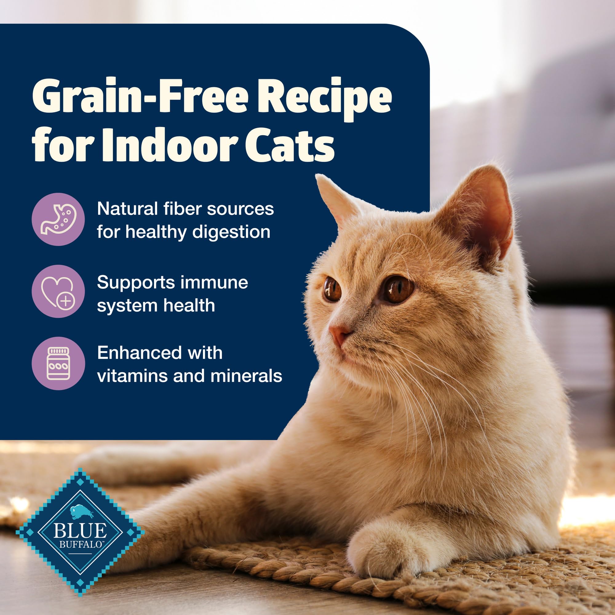 Blue Buffalo Freedom indoor cat food served in a convenient 5-lb bag portion.