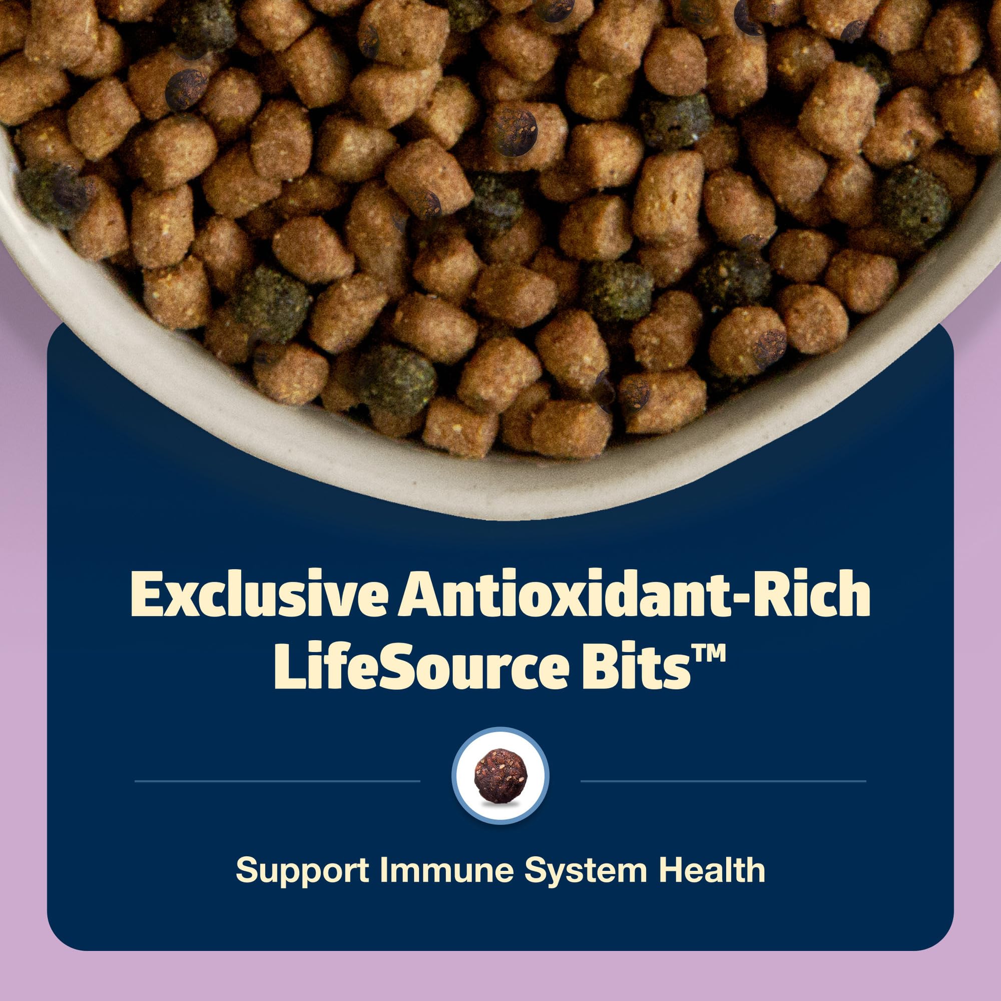 Blue Buffalo Freedom kitten meals support everyday feeding routines.