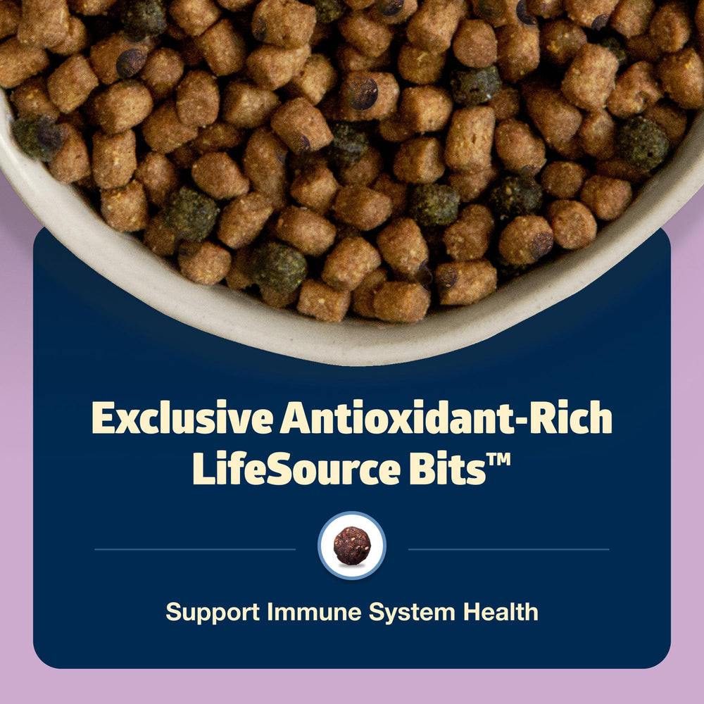 Blue Buffalo Freedom kitten meals support everyday feeding routines.