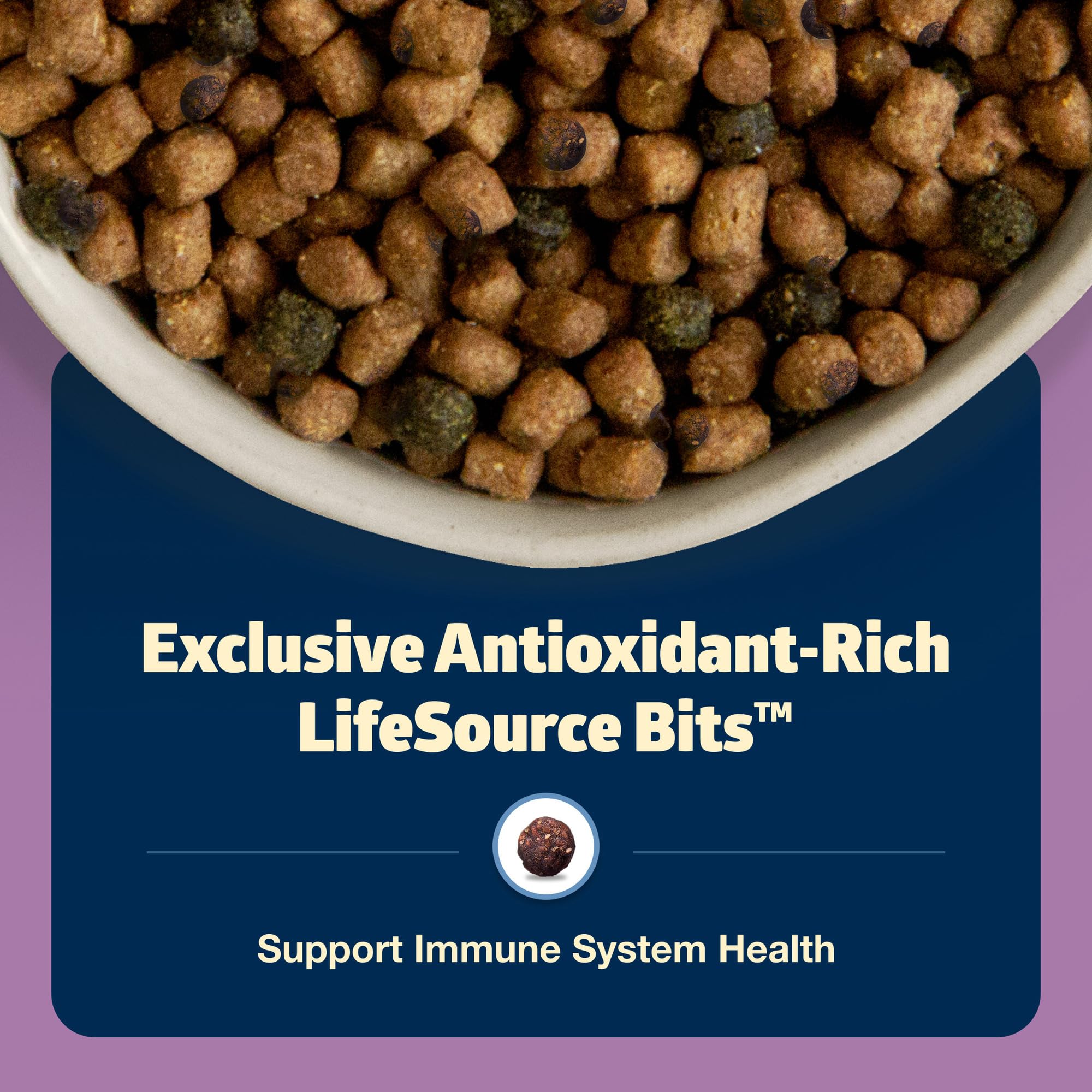 Blue Buffalo Freedom packaging imagery highlights ingredients and benefits.
