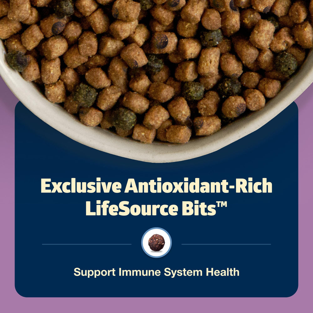 Blue Buffalo Freedom packaging imagery highlights ingredients and benefits.