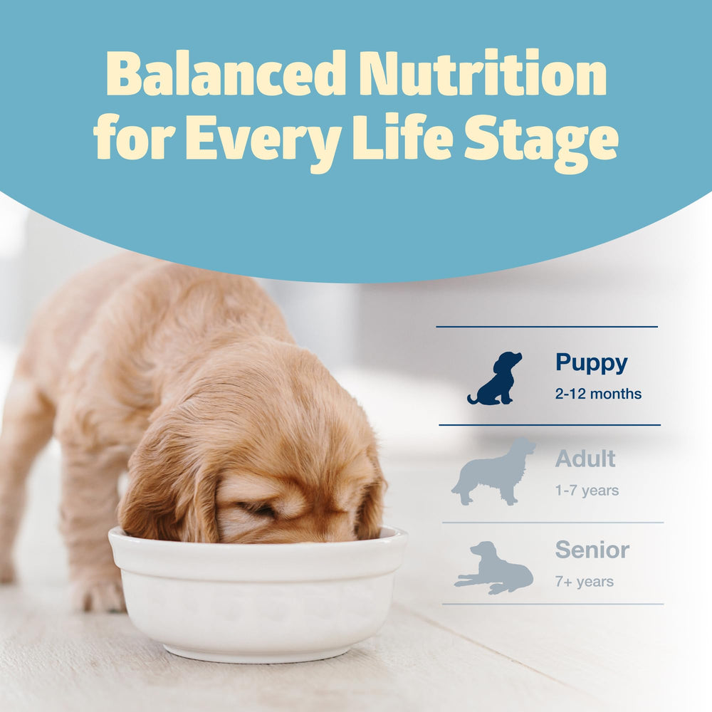 Blue Buffalo Freedom 24-lb bag offers long-lasting nutrition.