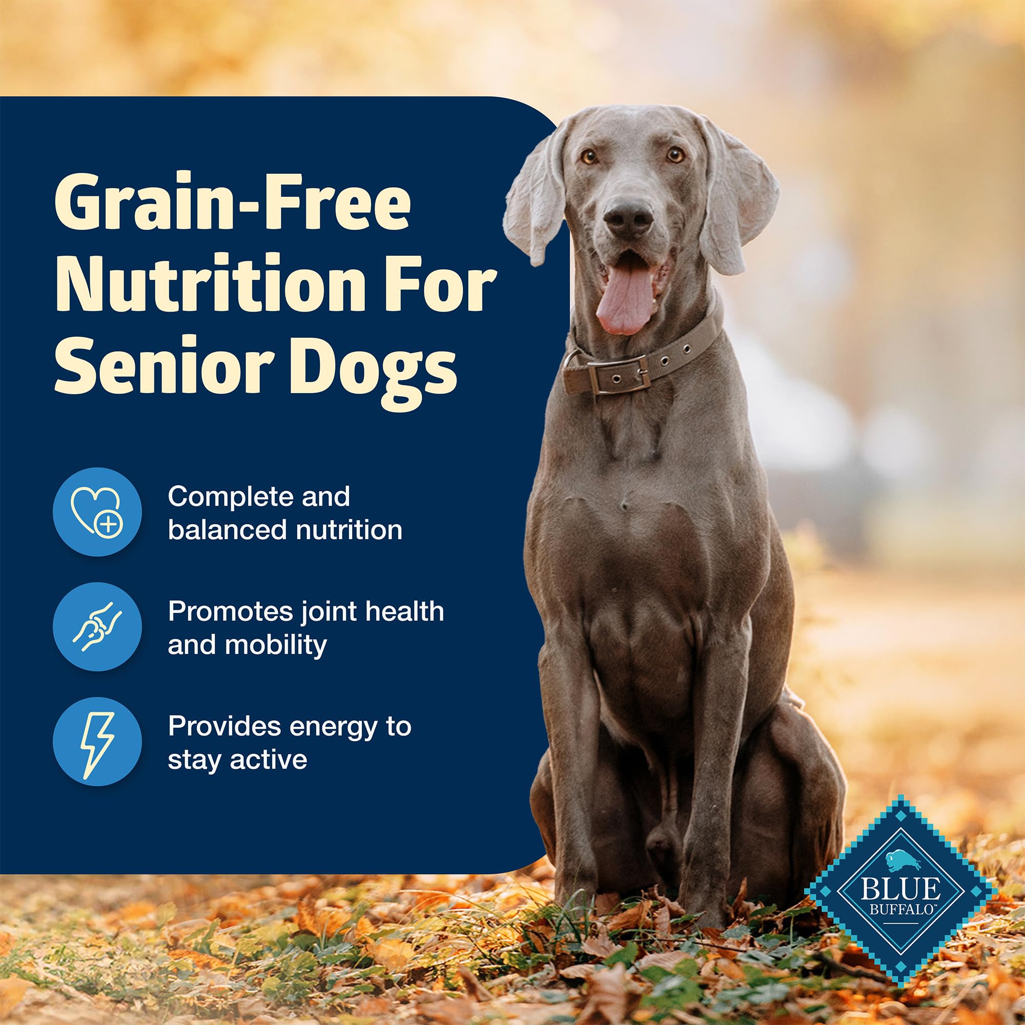 Blue Buffalo Freedom no corn, wheat, or soy supports diverse canine diets.