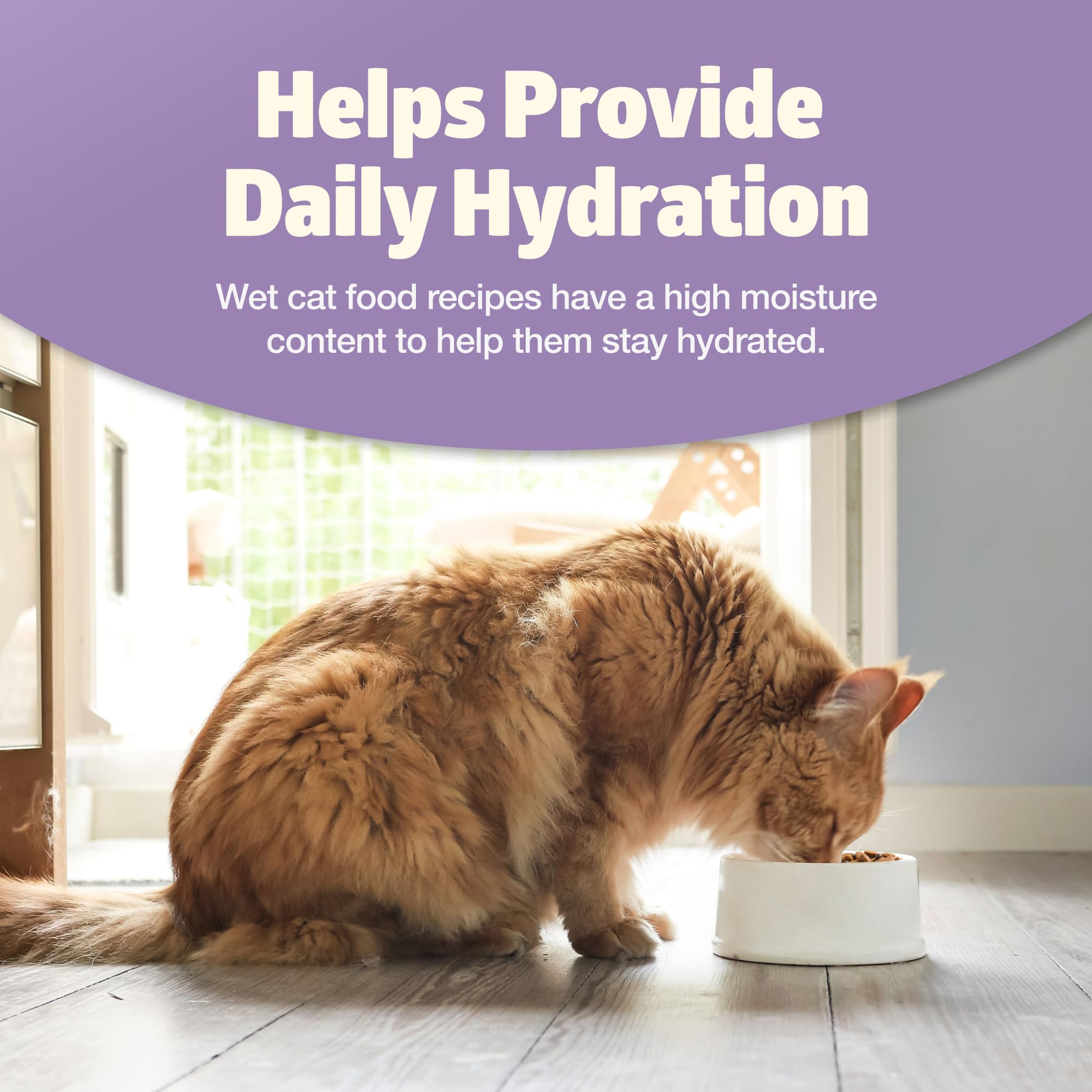 Blue Buffalo Freedom serving ideas for convenient cat meals
