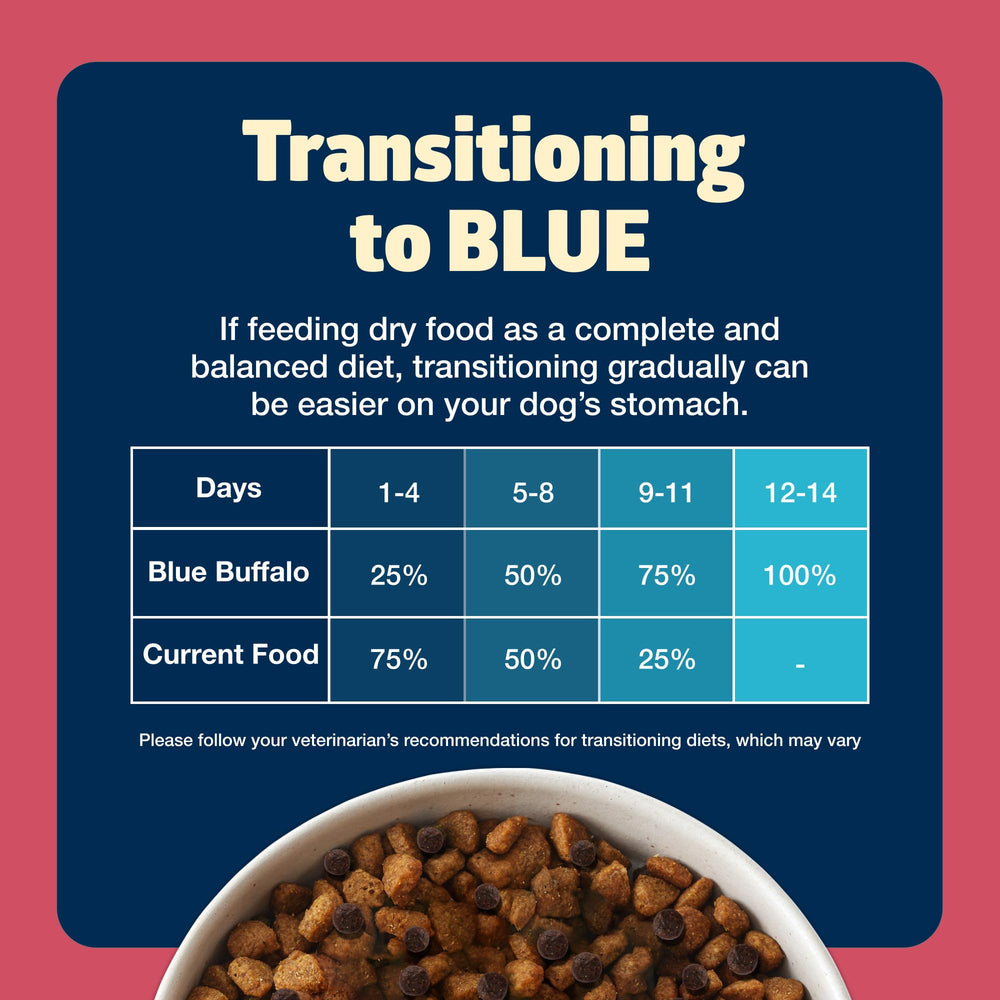 Blue Buffalo Freedom small breed dry food kibble texture close-up.