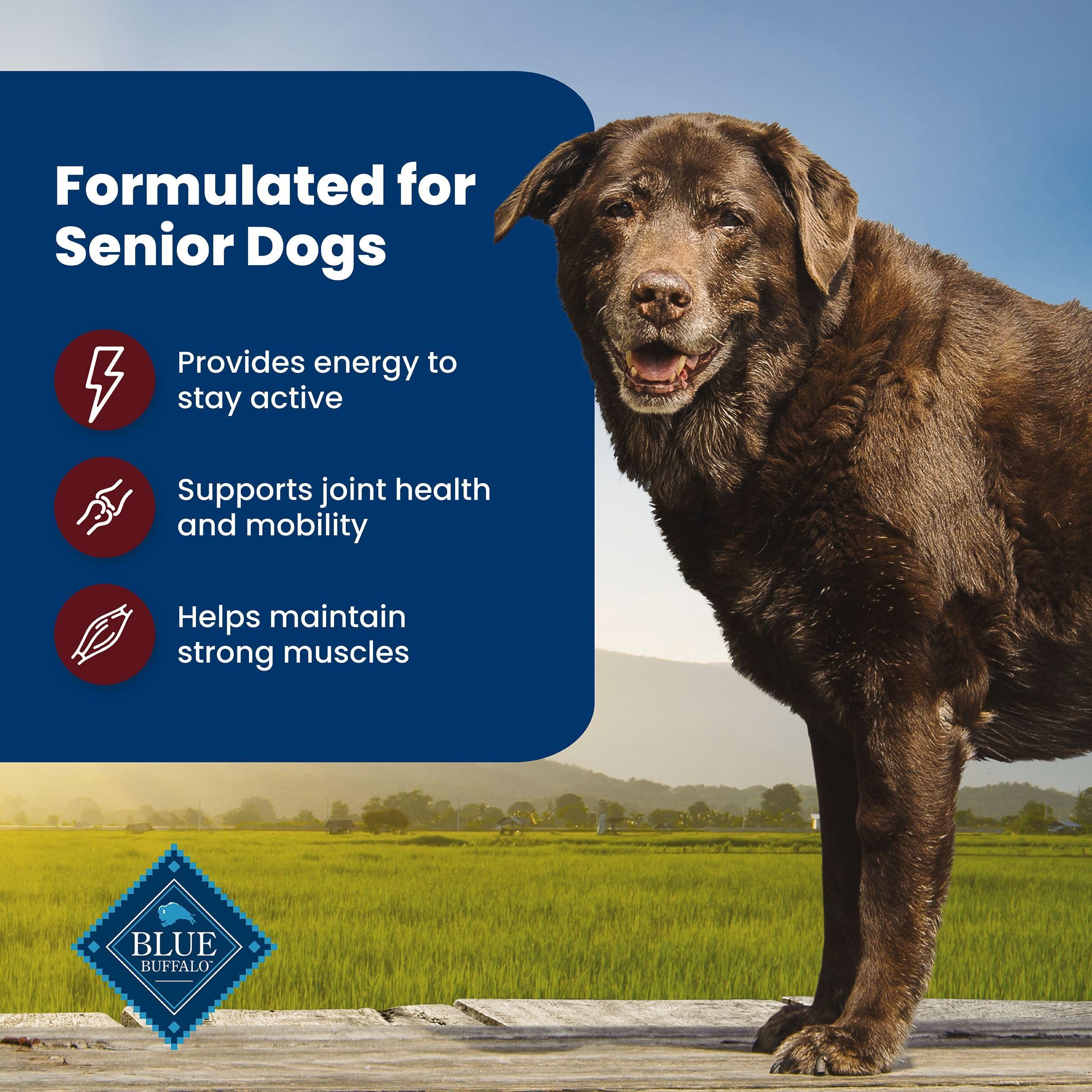Blue Buffalo glucosamine and chondroitin joint-health kibble for older dogs.
