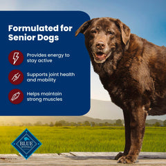 Blue Buffalo glucosamine and chondroitin joint-health kibble for older dogs.