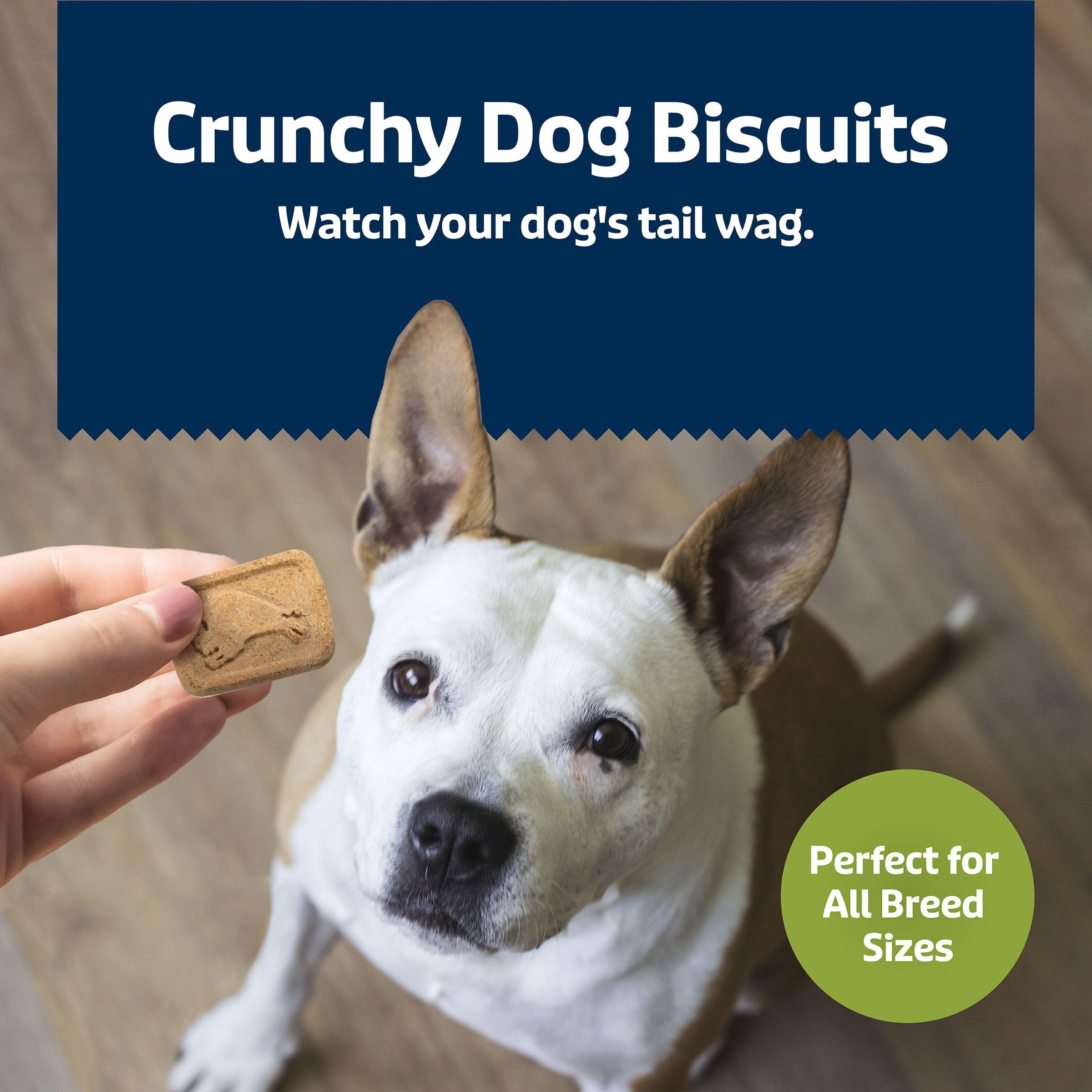 Blue Buffalo Health Bars crunchy treats preferred by dogs during rewards.