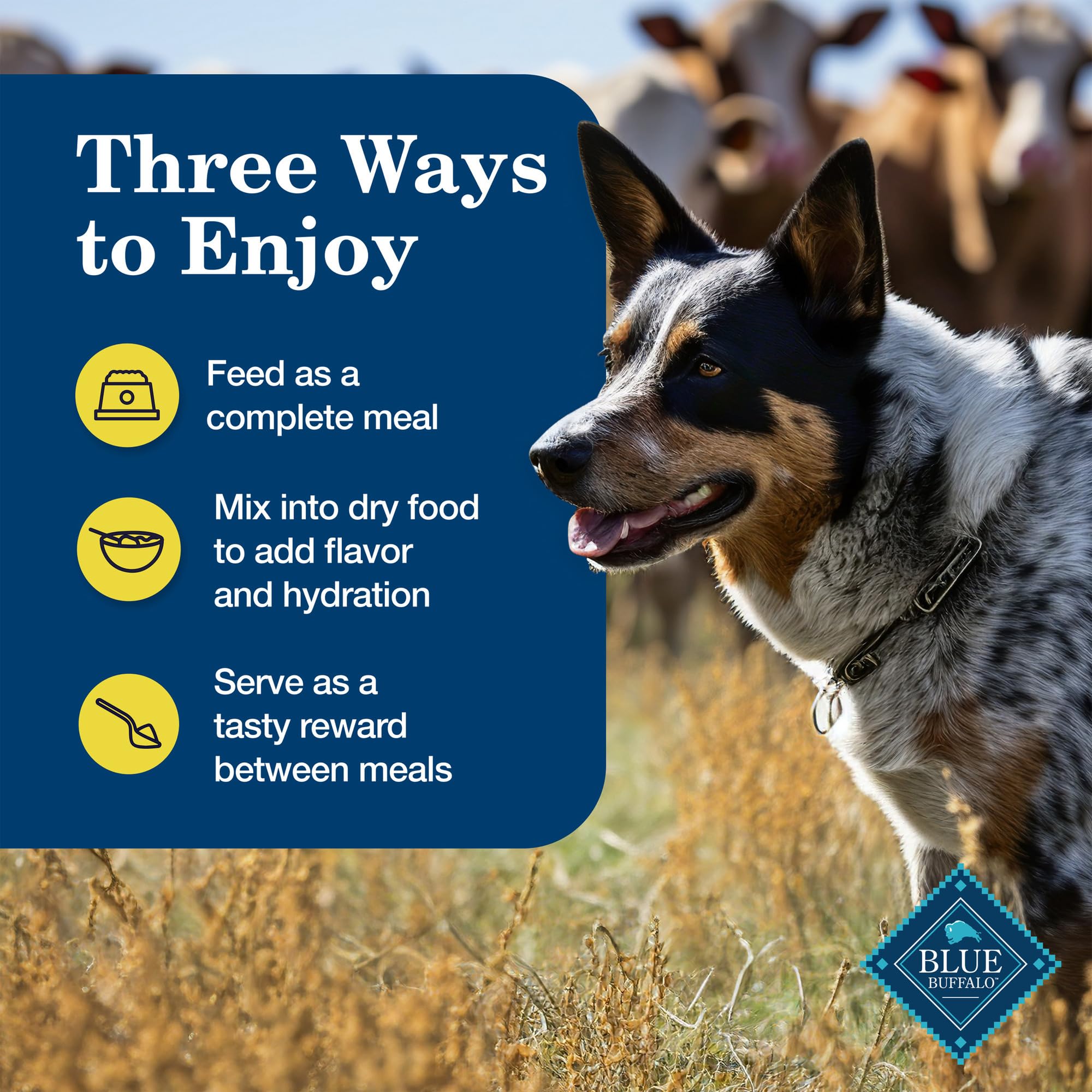 Blue Buffalo Homestyle 12-can pack shows convenient portion-controlled meals