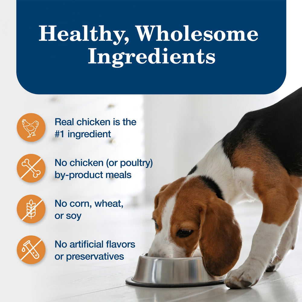 Blue Buffalo Homestyle Large Breed chicken dinner with garden vegetables appears ready to serve.
