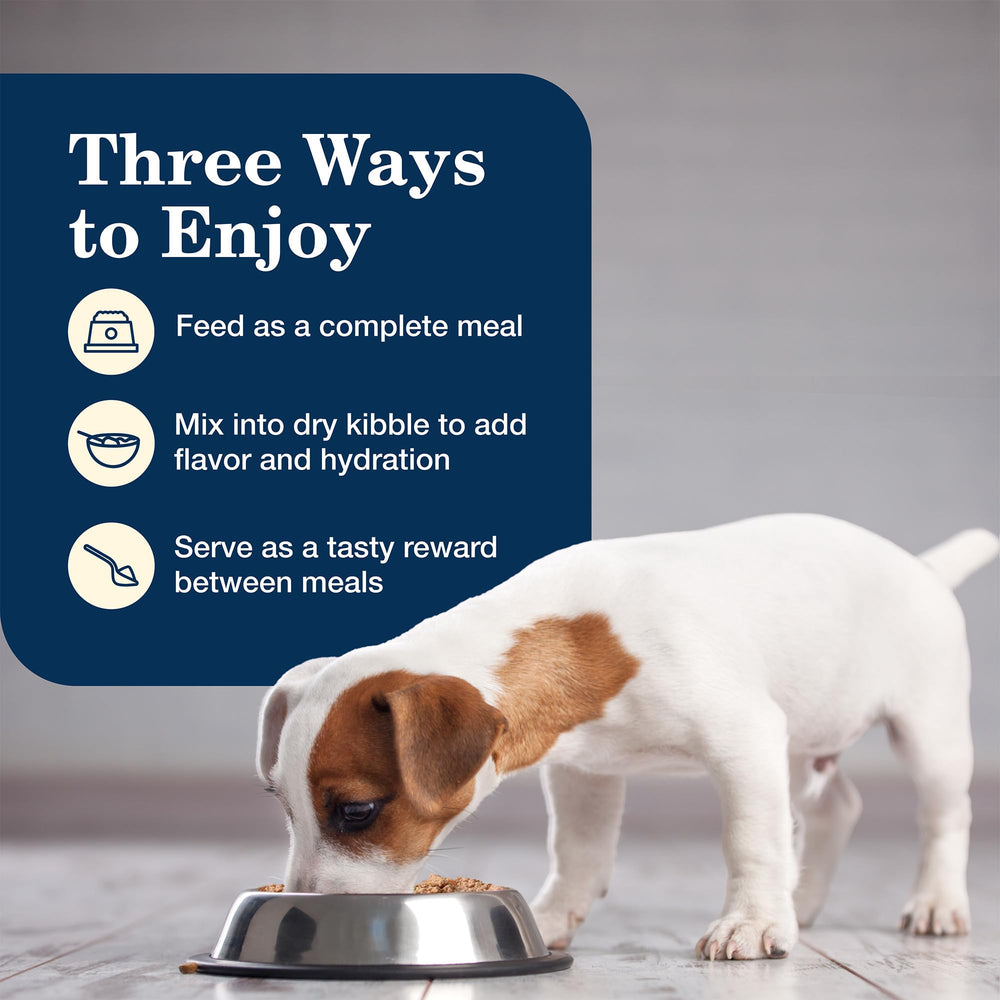Blue Buffalo Homestyle Puppy Wet Food 12.5 oz cans; practical for regular meals