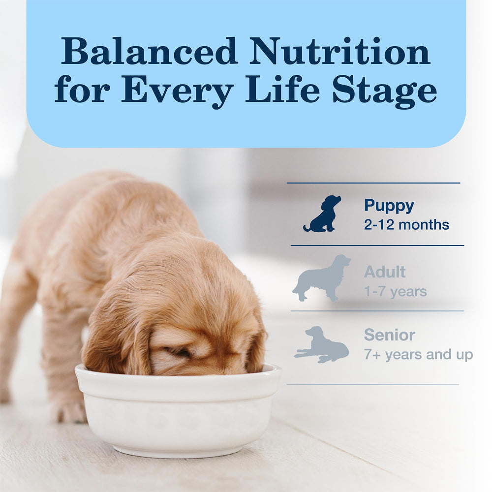 Blue Buffalo Homestyle Puppy Wet Food aroma from can; savory chicken dinner ready to serve