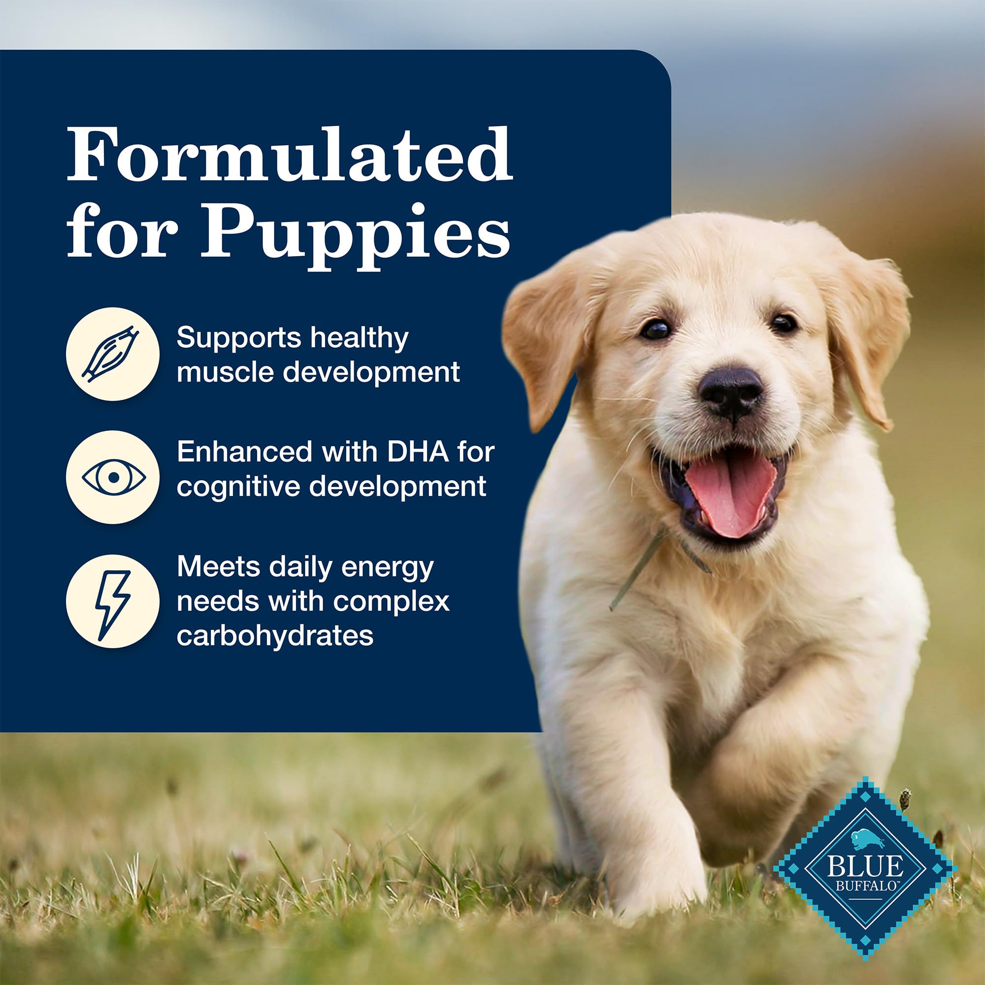 Blue Buffalo Homestyle Puppy Wet Food served in a bowl; soft texture for picky eaters
