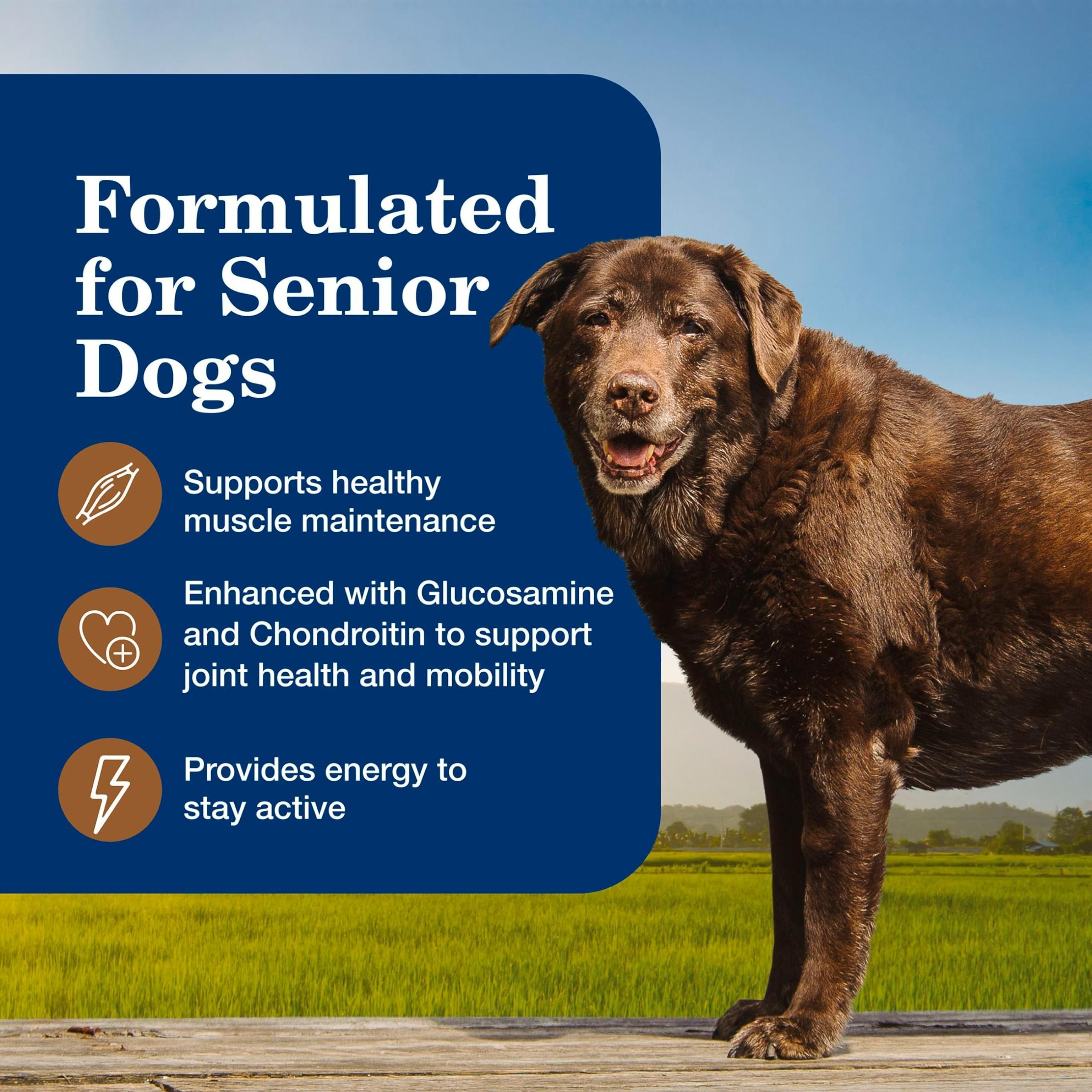 Blue Buffalo Homestyle Senior label notes glucosamine and chondroitin for joint support.
