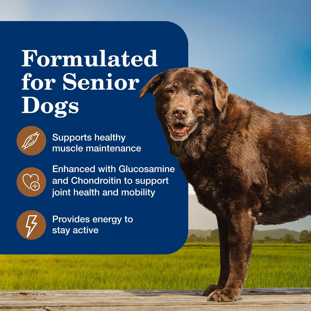 Blue Buffalo Homestyle Senior label notes glucosamine and chondroitin for joint support.