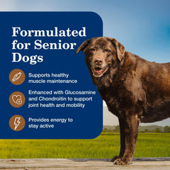 Blue Buffalo Homestyle Senior label notes glucosamine and chondroitin for joint support.