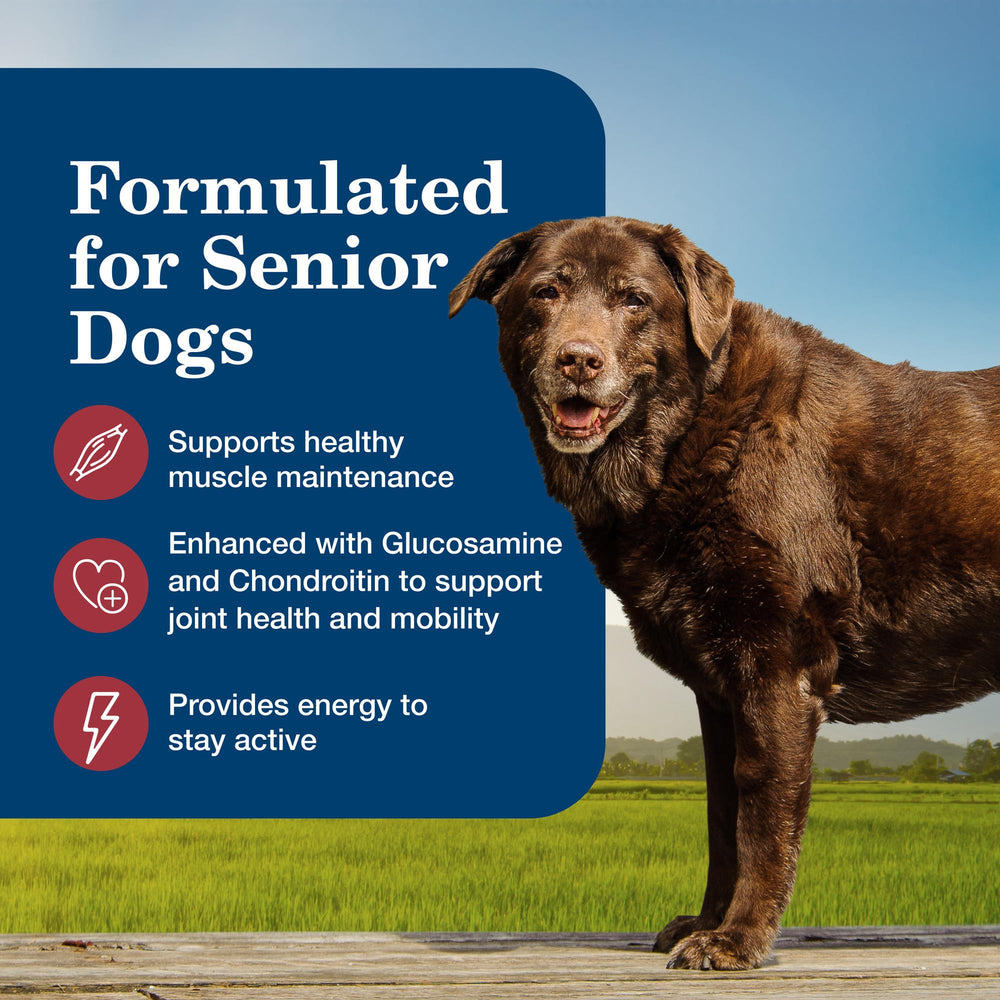 Blue Buffalo Senior wet food can showing garden vegetables and beef-only formulation.
