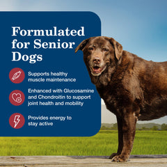 Blue Buffalo Senior wet food can showing garden vegetables and beef-only formulation.