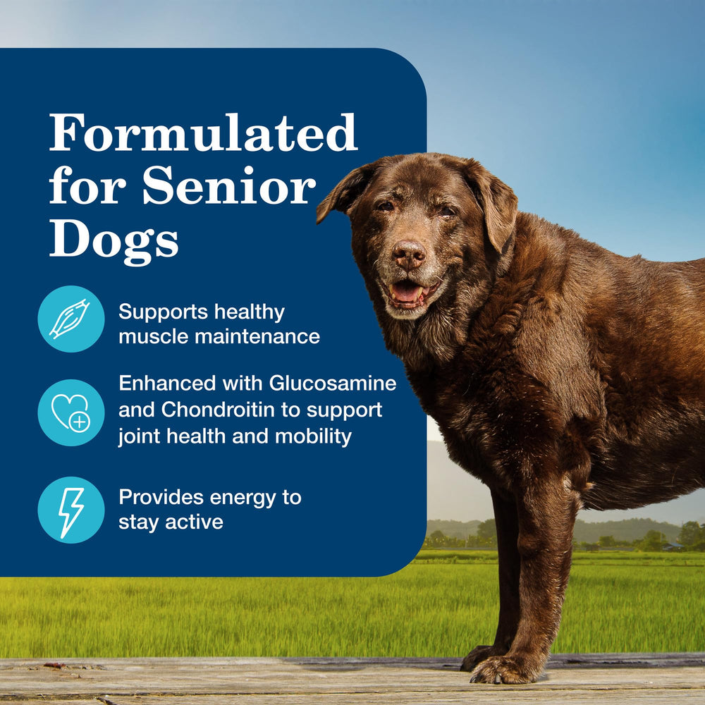 Blue Buffalo Homestyle Senior Wet Dog Food can be served as a complete meal.