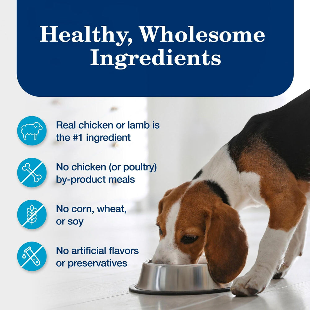 Blue Buffalo Homestyle serving suggestion in a bowl at mealtime.