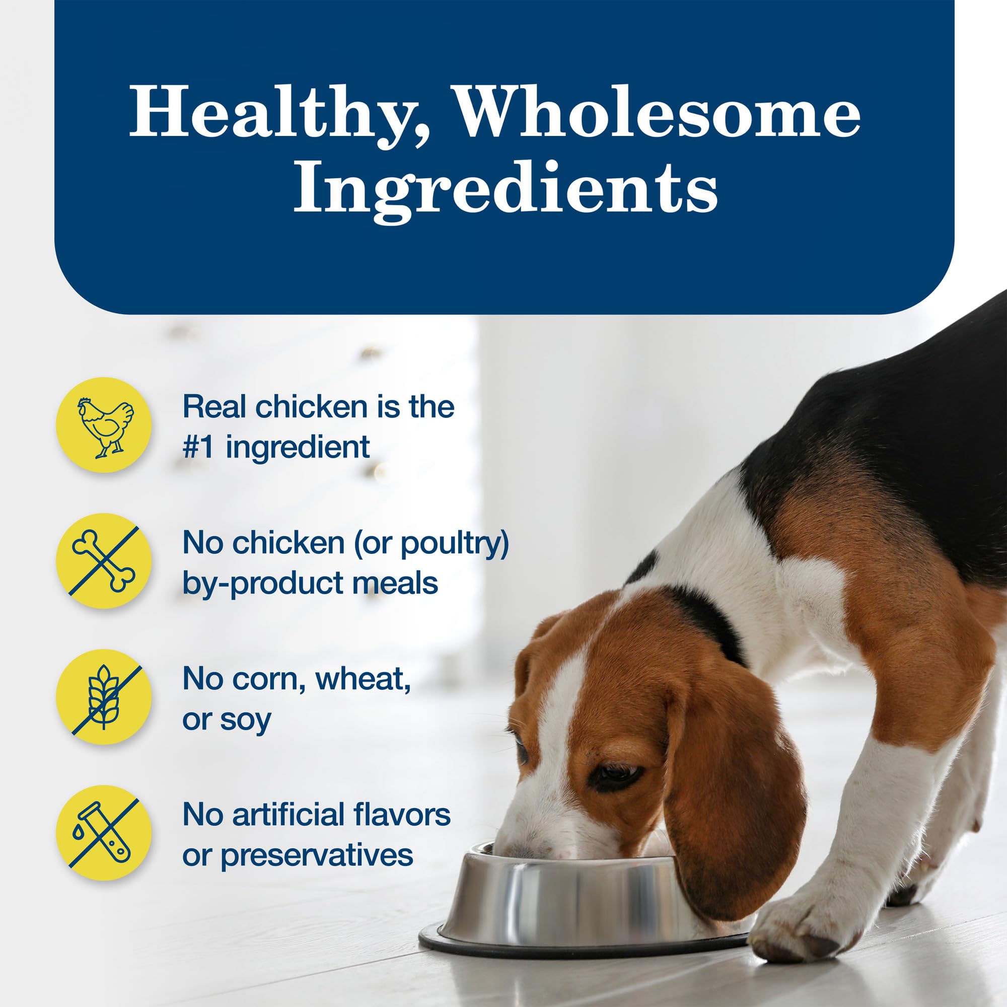 Blue Buffalo Homestyle serving in a bowl demonstrates easy mealtime option