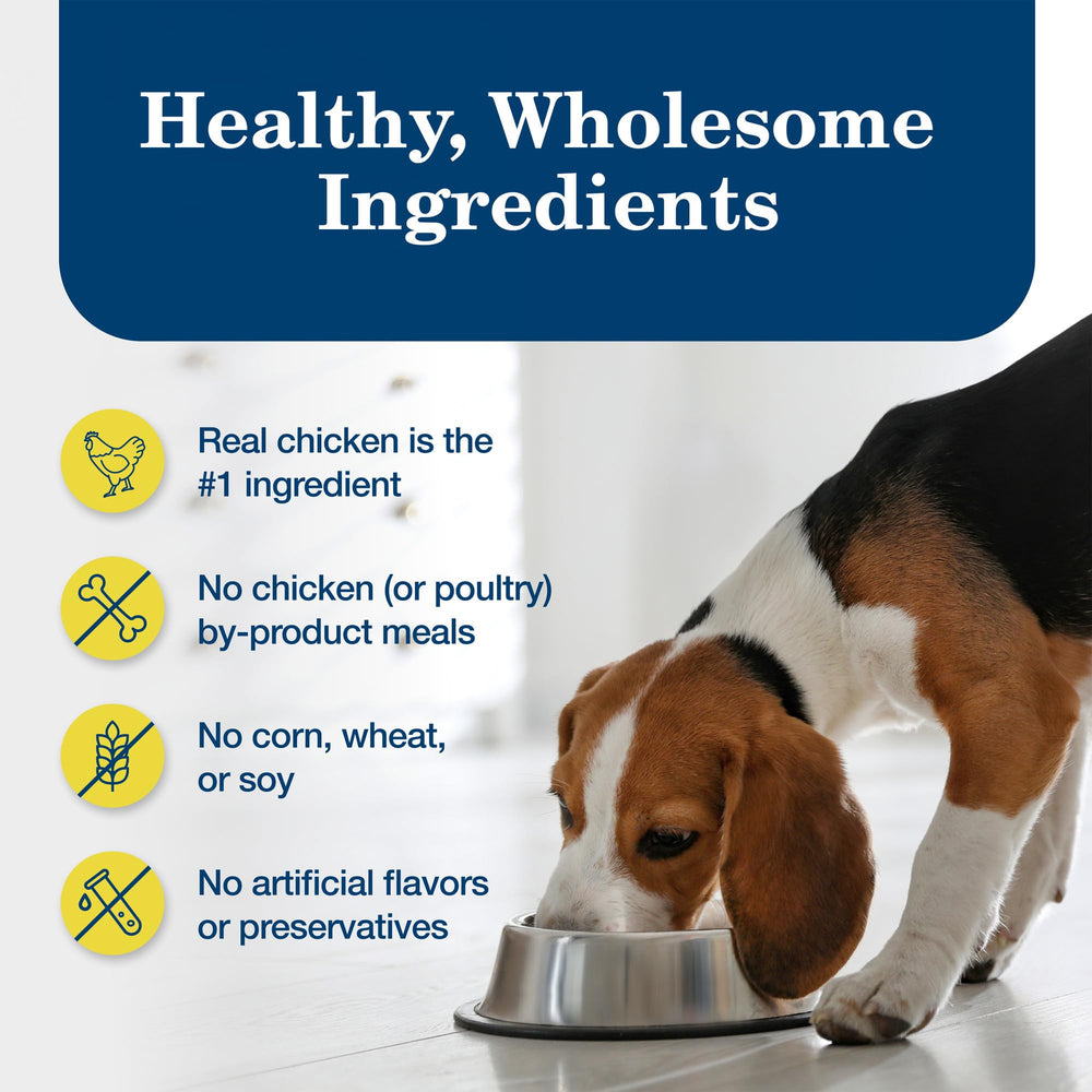 Blue Buffalo Homestyle serving in a bowl demonstrates easy mealtime option
