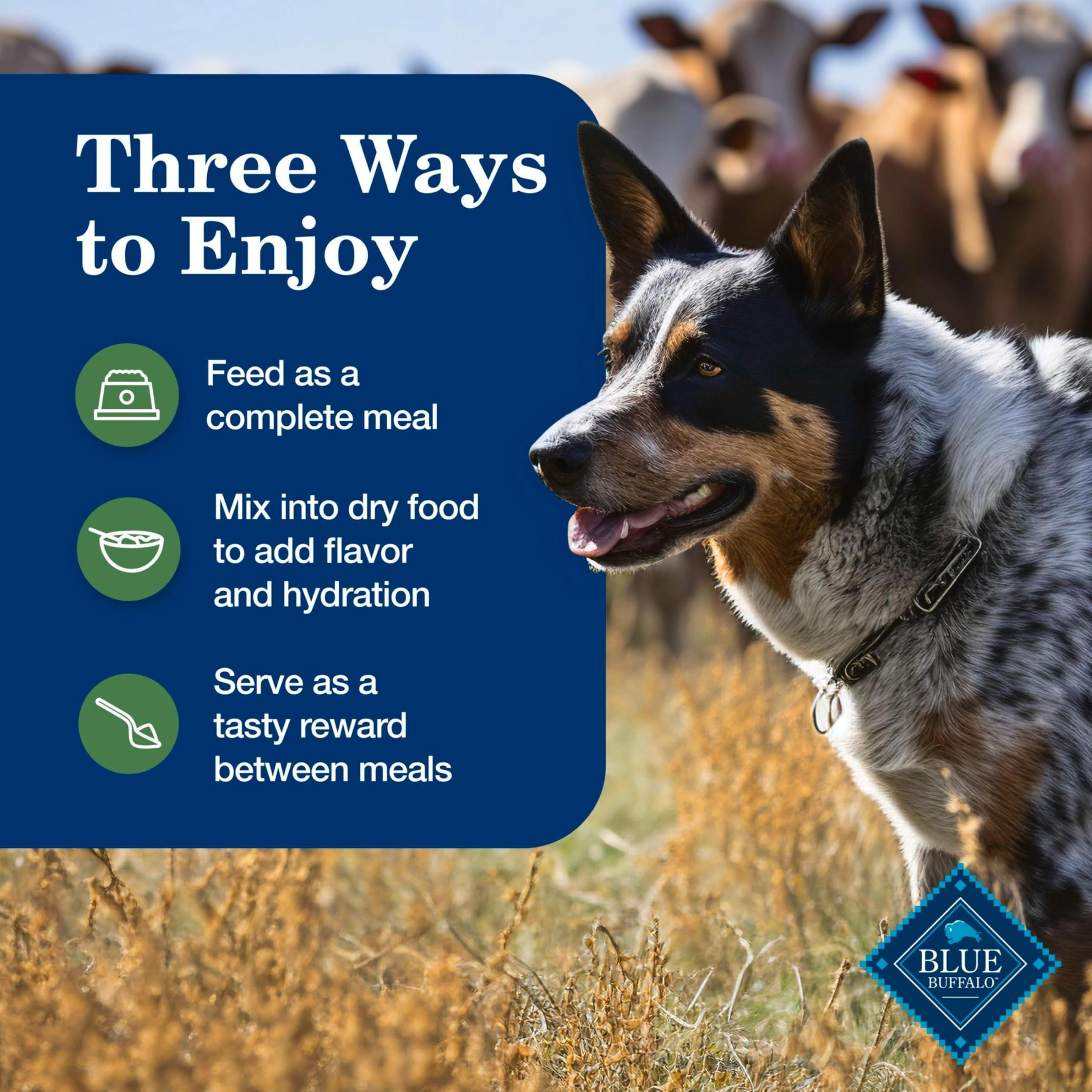 Blue Buffalo Homestyle serving idea with dry food for versatile meals